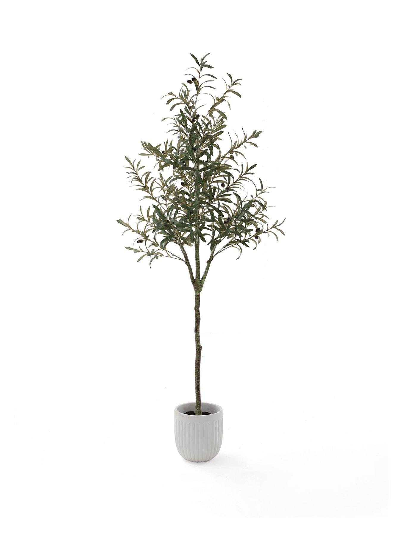 Image 2 of 7 of The Very Collection 183cm Faux Olive Potted Tree -&nbsp;Outdoor/Indoor