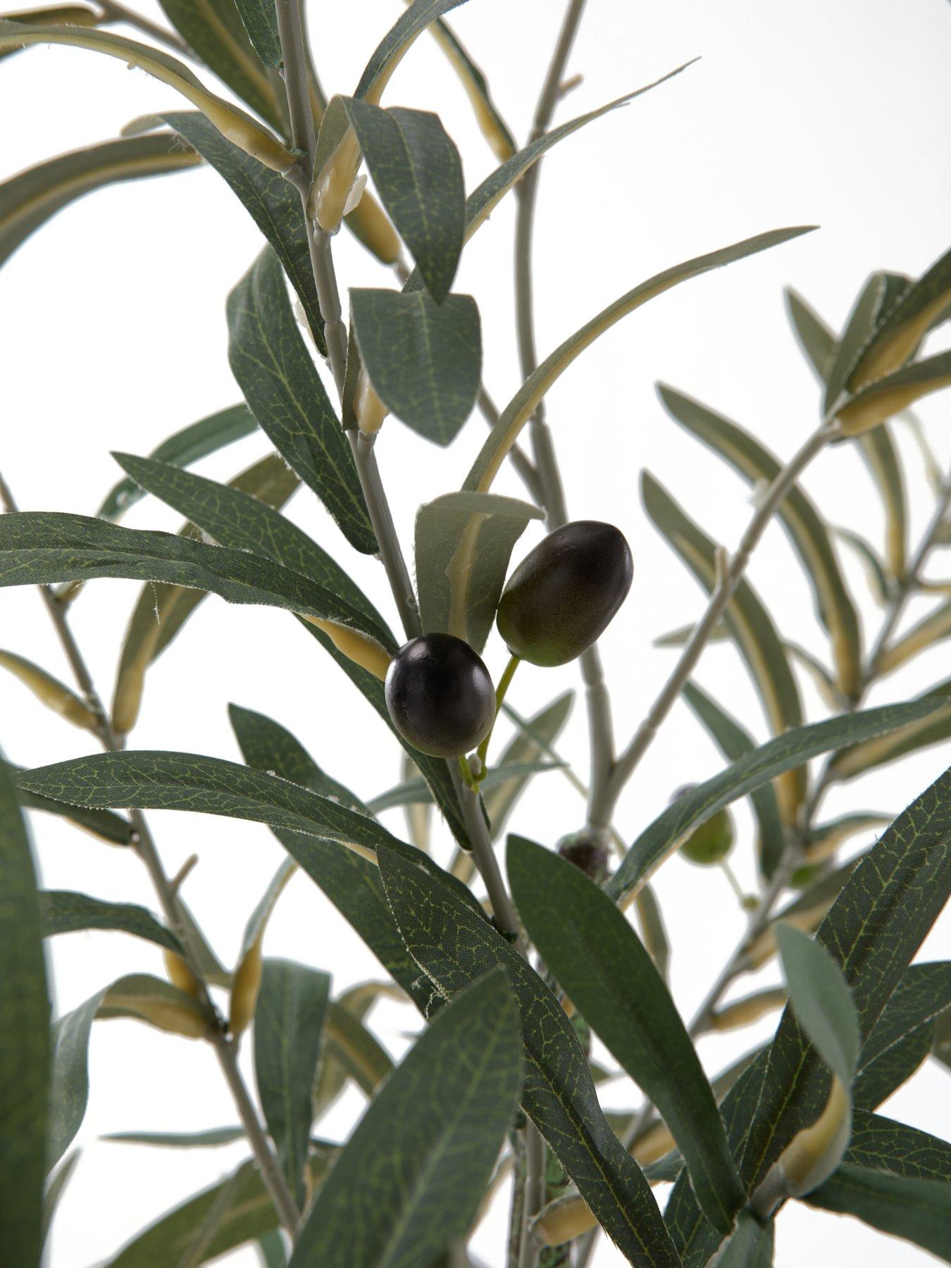 Image 3 of 7 of The Very Collection 183cm Faux Olive Potted Tree -&nbsp;Outdoor/Indoor