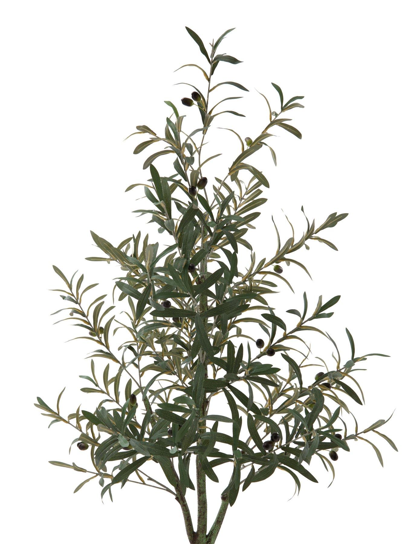 Image 4 of 7 of The Very Collection 183cm Faux Olive Potted Tree -&nbsp;Outdoor/Indoor