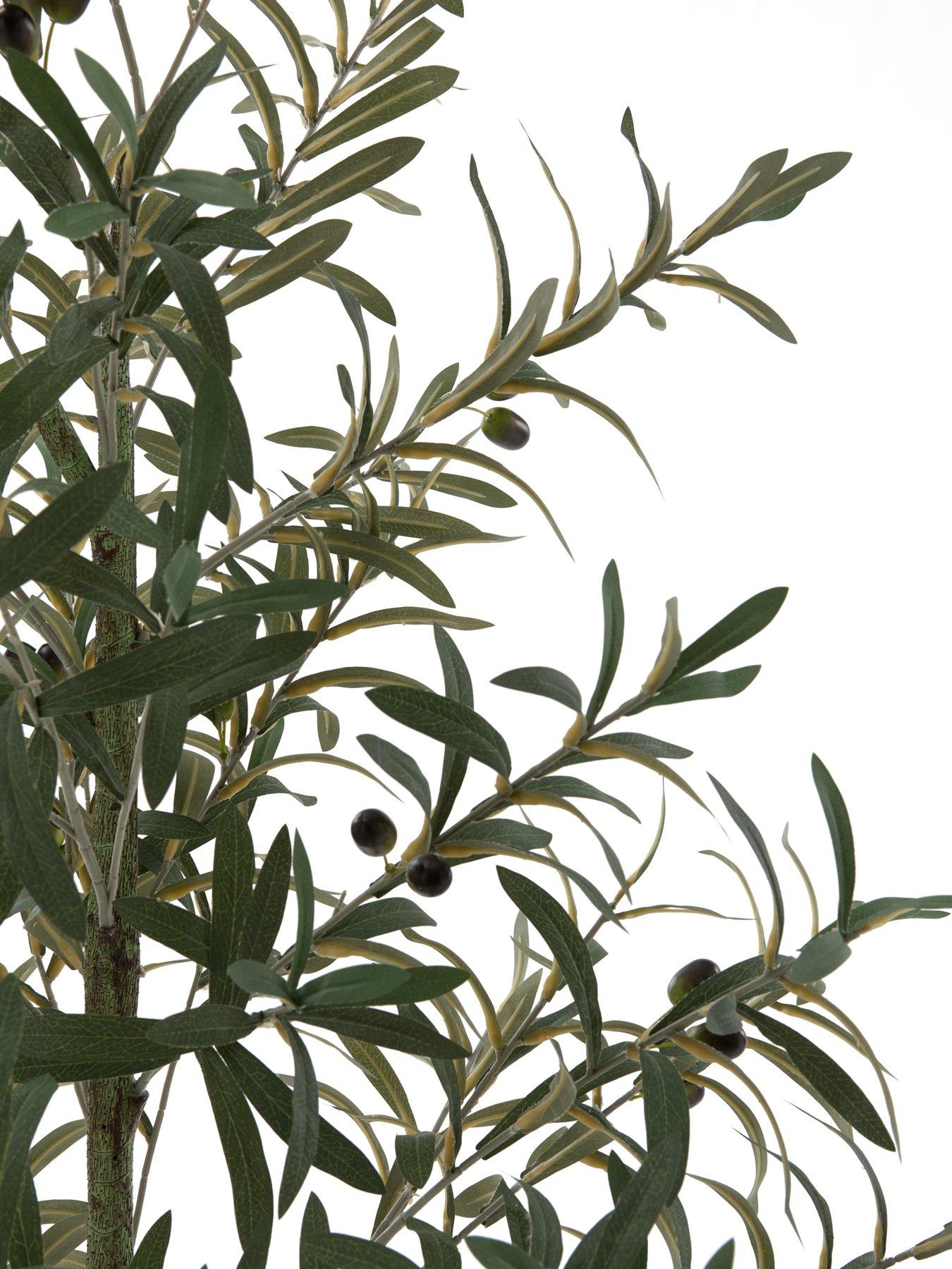 Image 5 of 7 of The Very Collection 183cm Faux Olive Potted Tree -&nbsp;Outdoor/Indoor