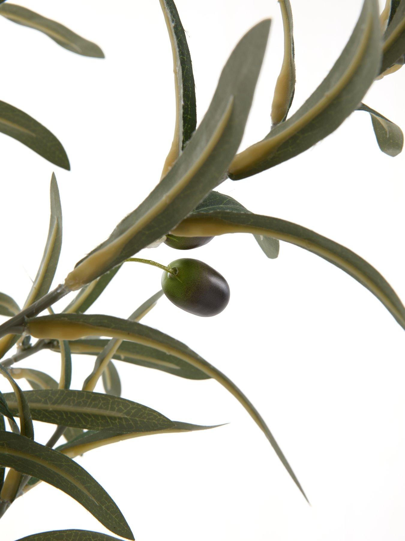 Image 7 of 7 of The Very Collection 183cm Faux Olive Potted Tree -&nbsp;Outdoor/Indoor