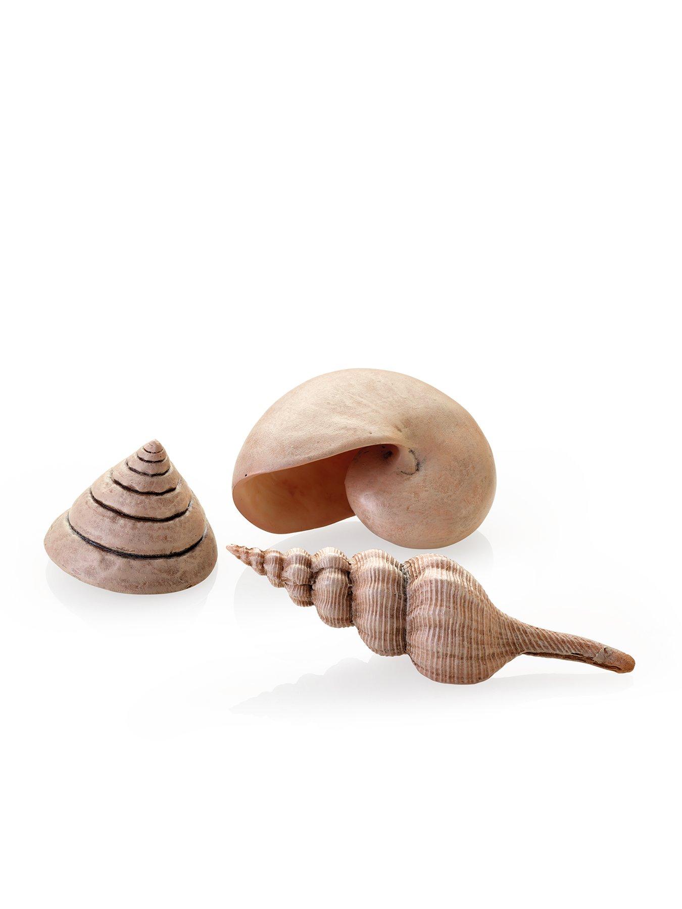Biorb Sea Shells Set Natural