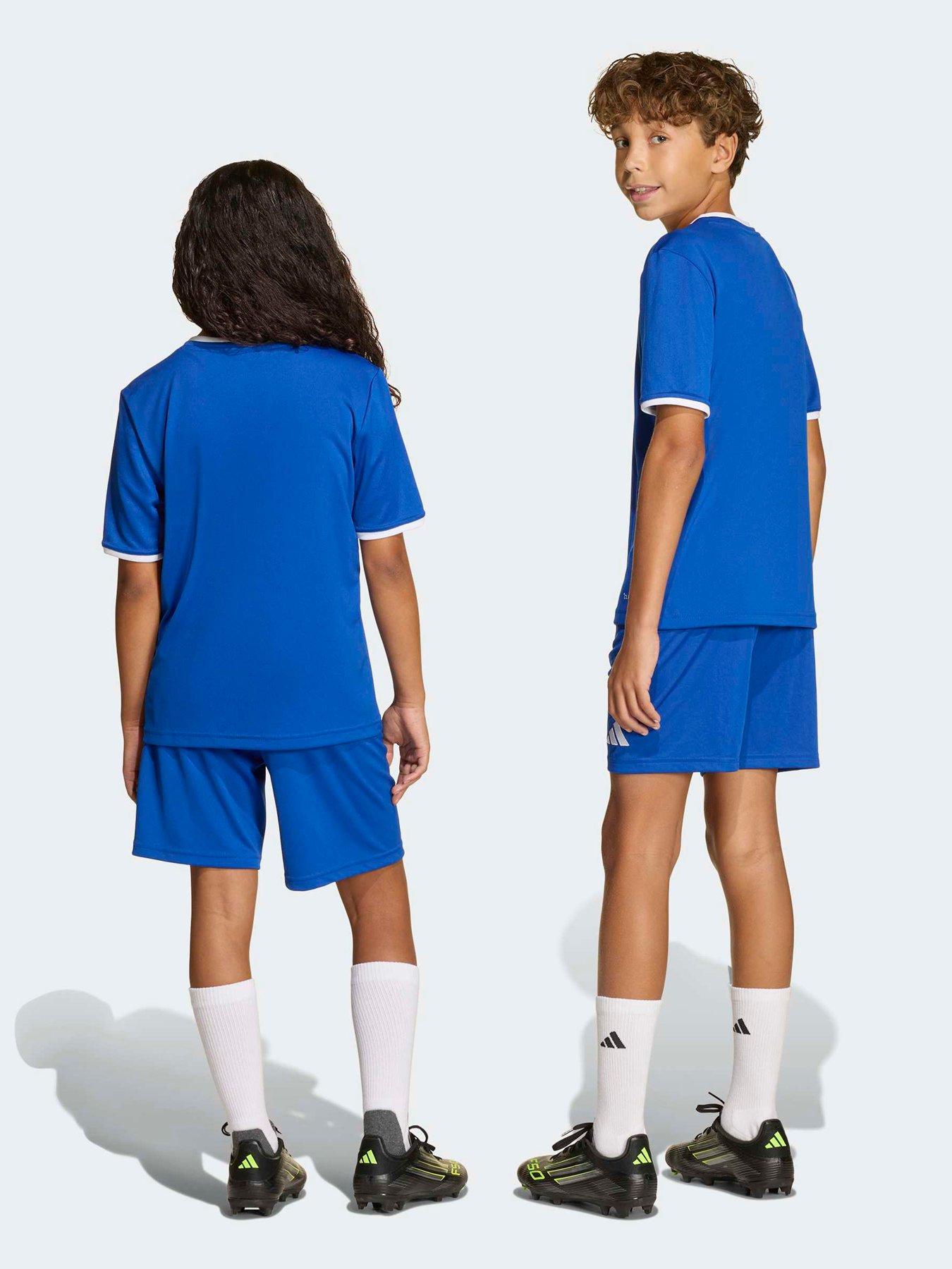 Image 2 of 6 of adidas Junior Entrada 26 Training Shorts - Blue