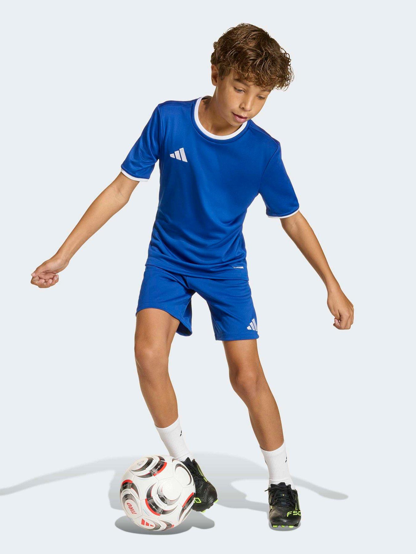 Image 3 of 6 of adidas Junior Entrada 26 Training Shorts - Blue