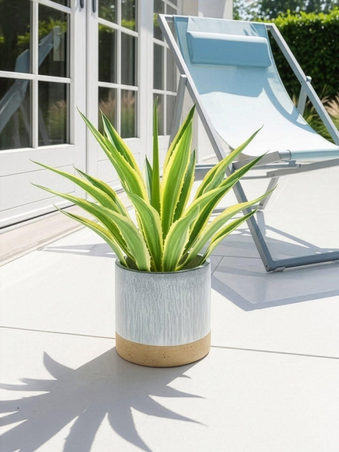 The Very Collection Seascape Planter 25cm Blue/Natural | Very