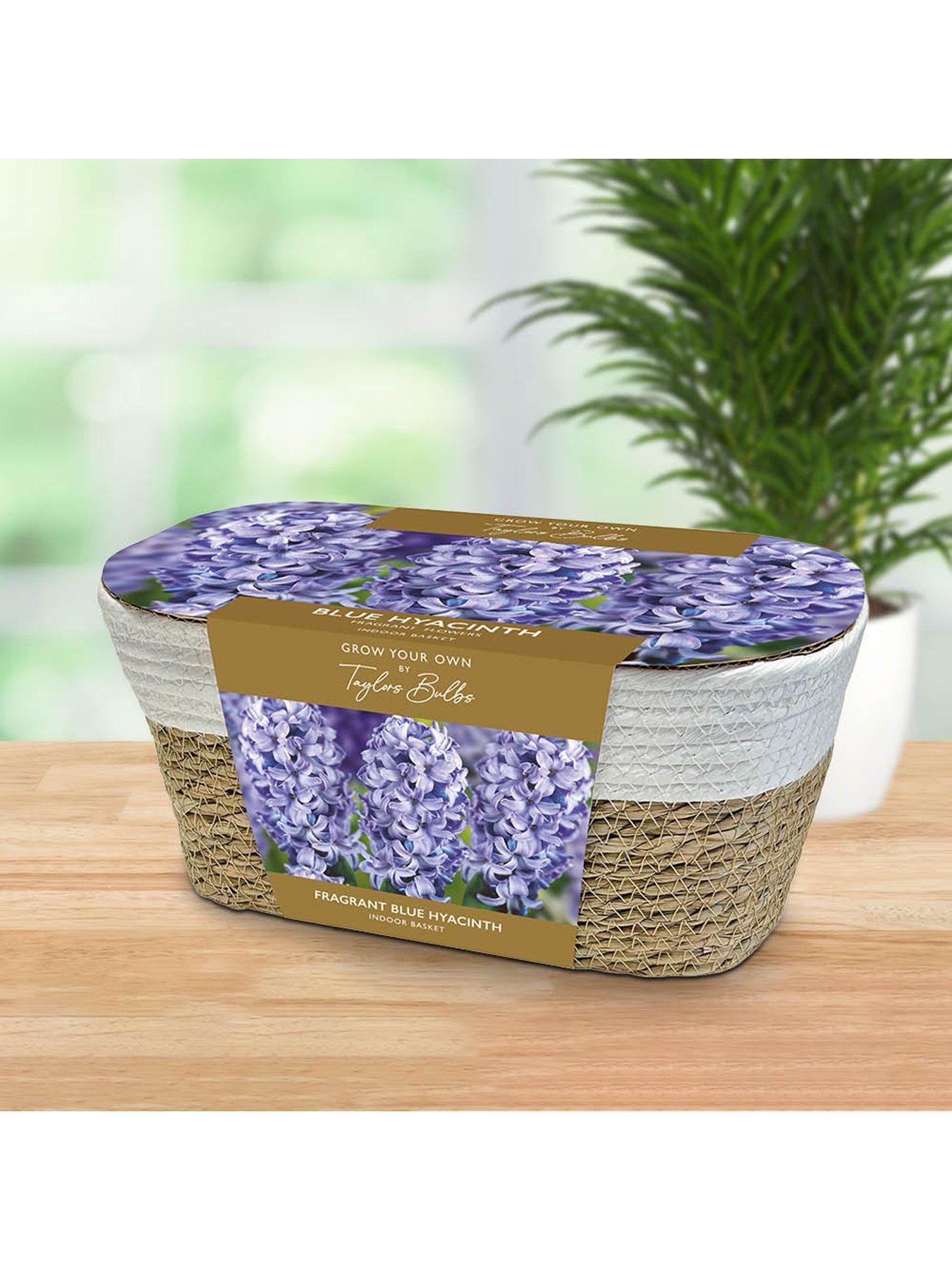 You Garden Large Blue Hyacinth Indoor Basket