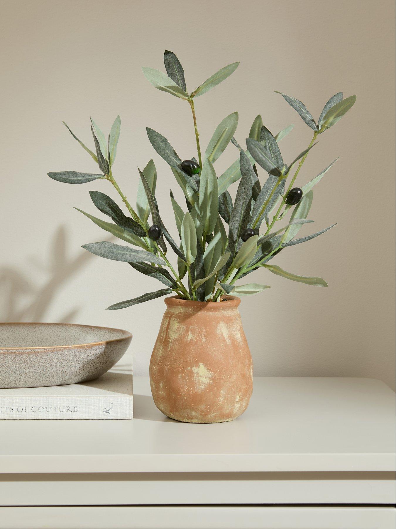 The Very Collection 37Cm Olive Plant In Cement Pot