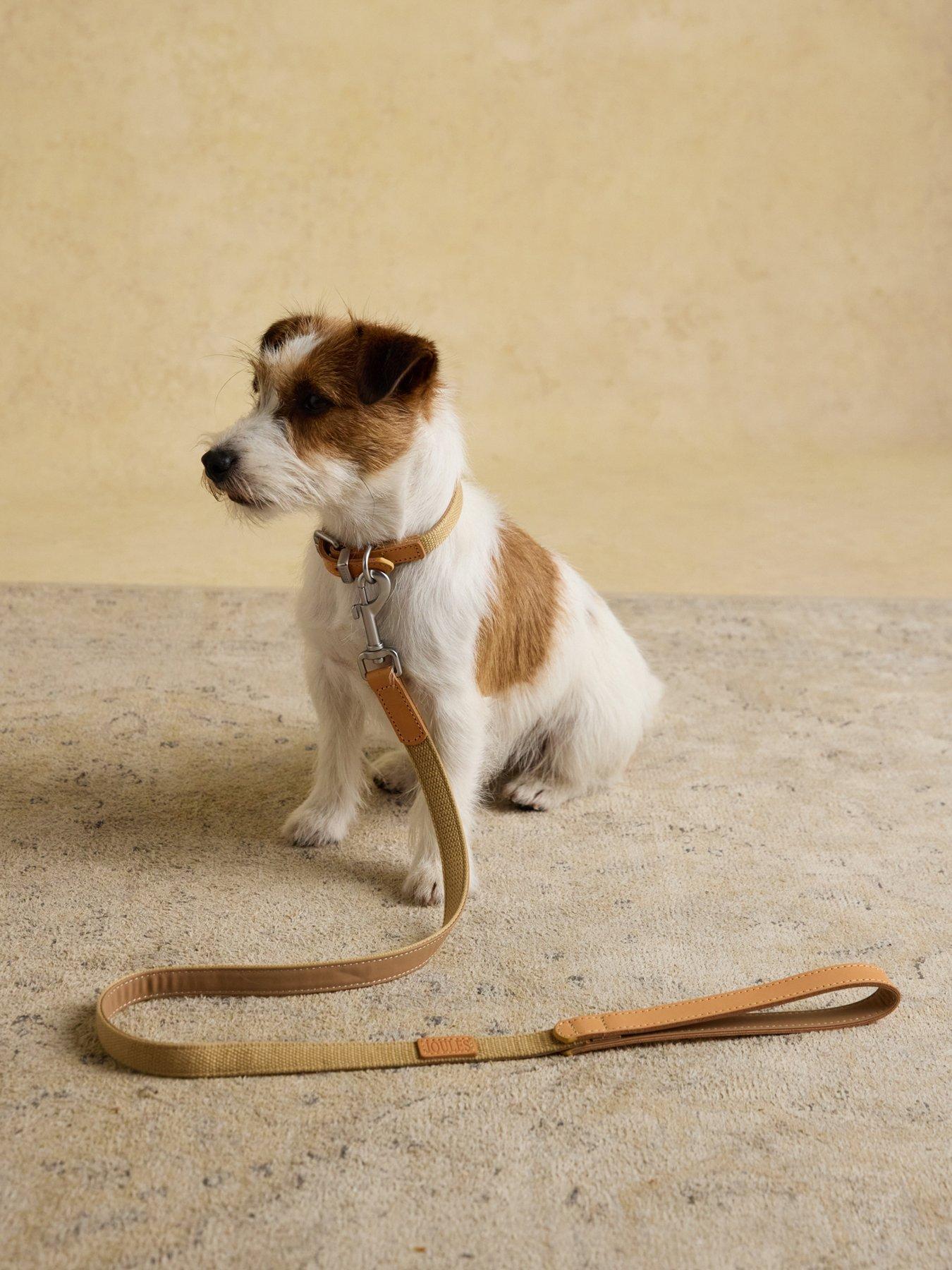 joules-tan-lead