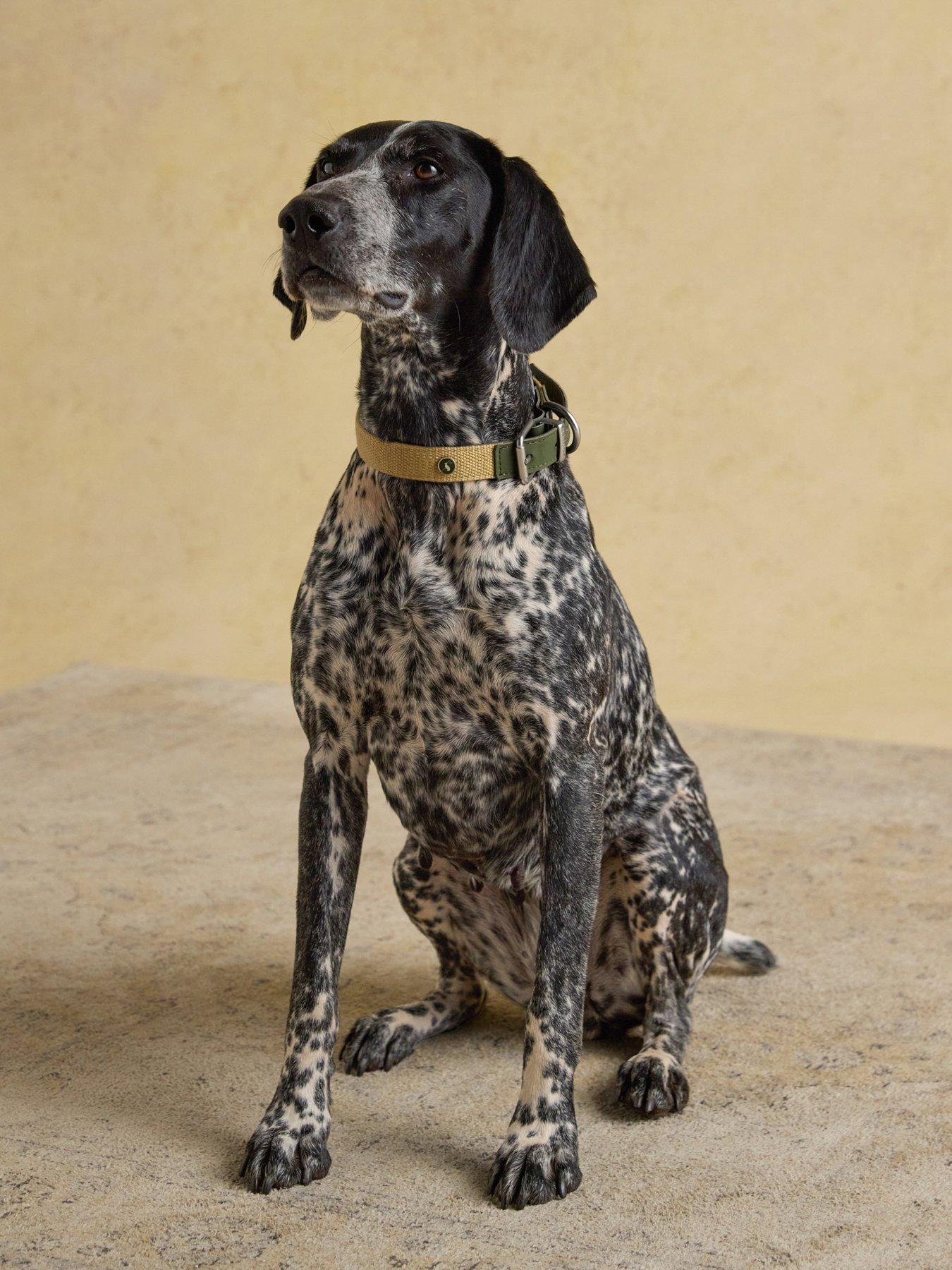 Image 1 of 6 of Joules Khaki Collar