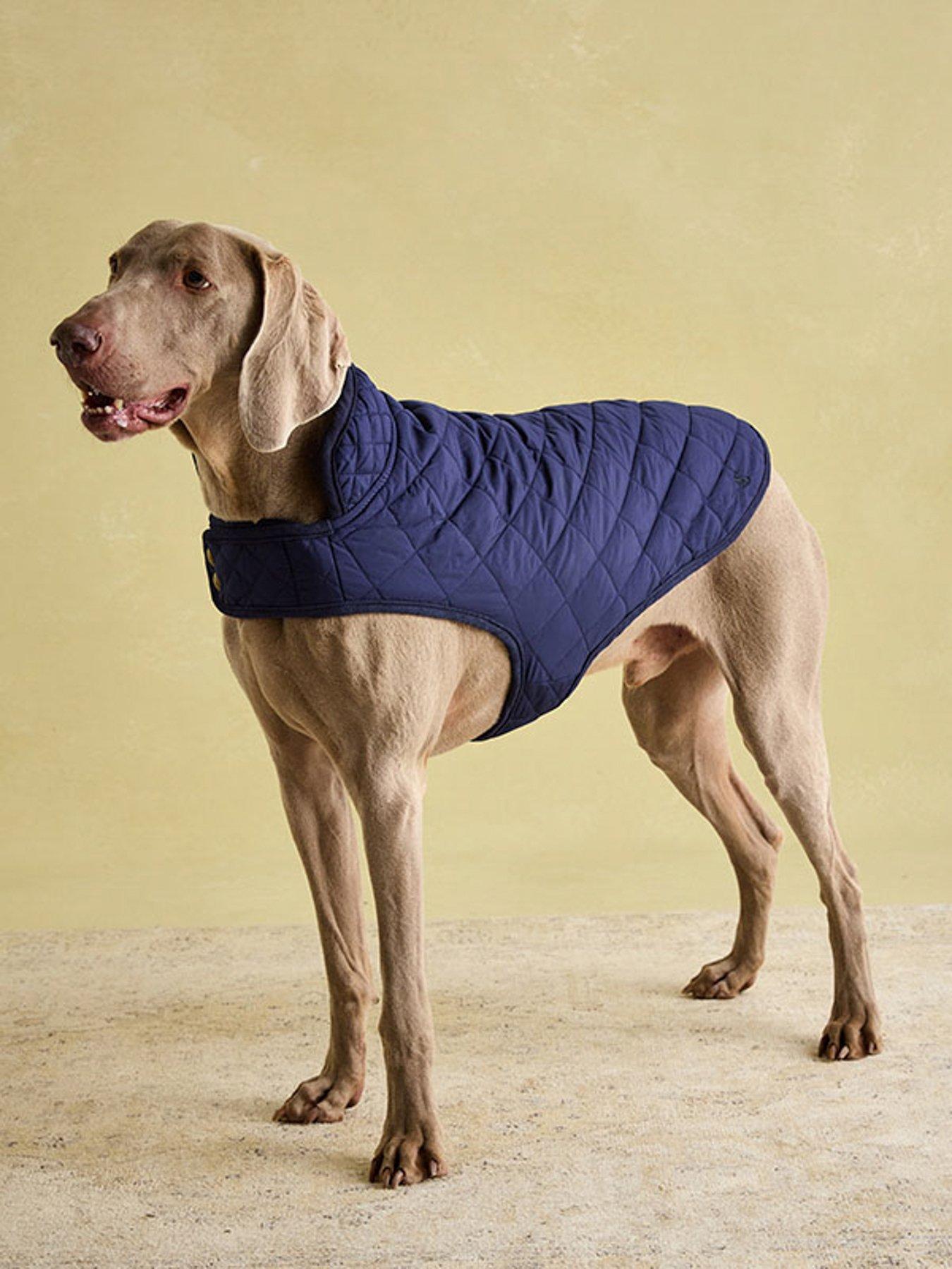 Joules Navy Quilted Coat