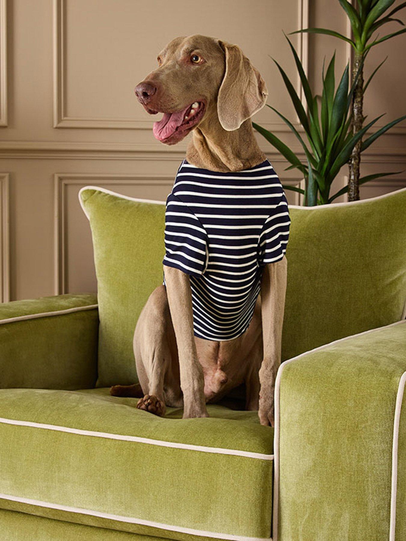 Joules Harbour Top