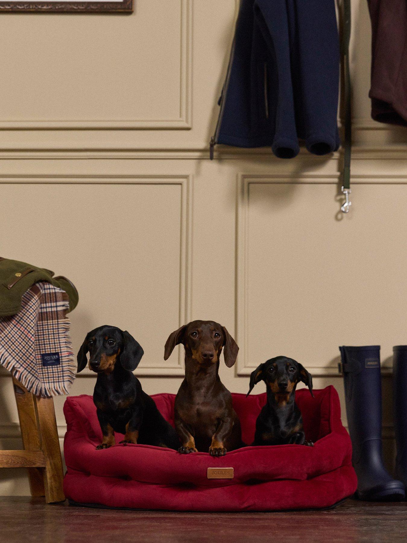 Joules Chesterfield Pet Bed - Burgundy