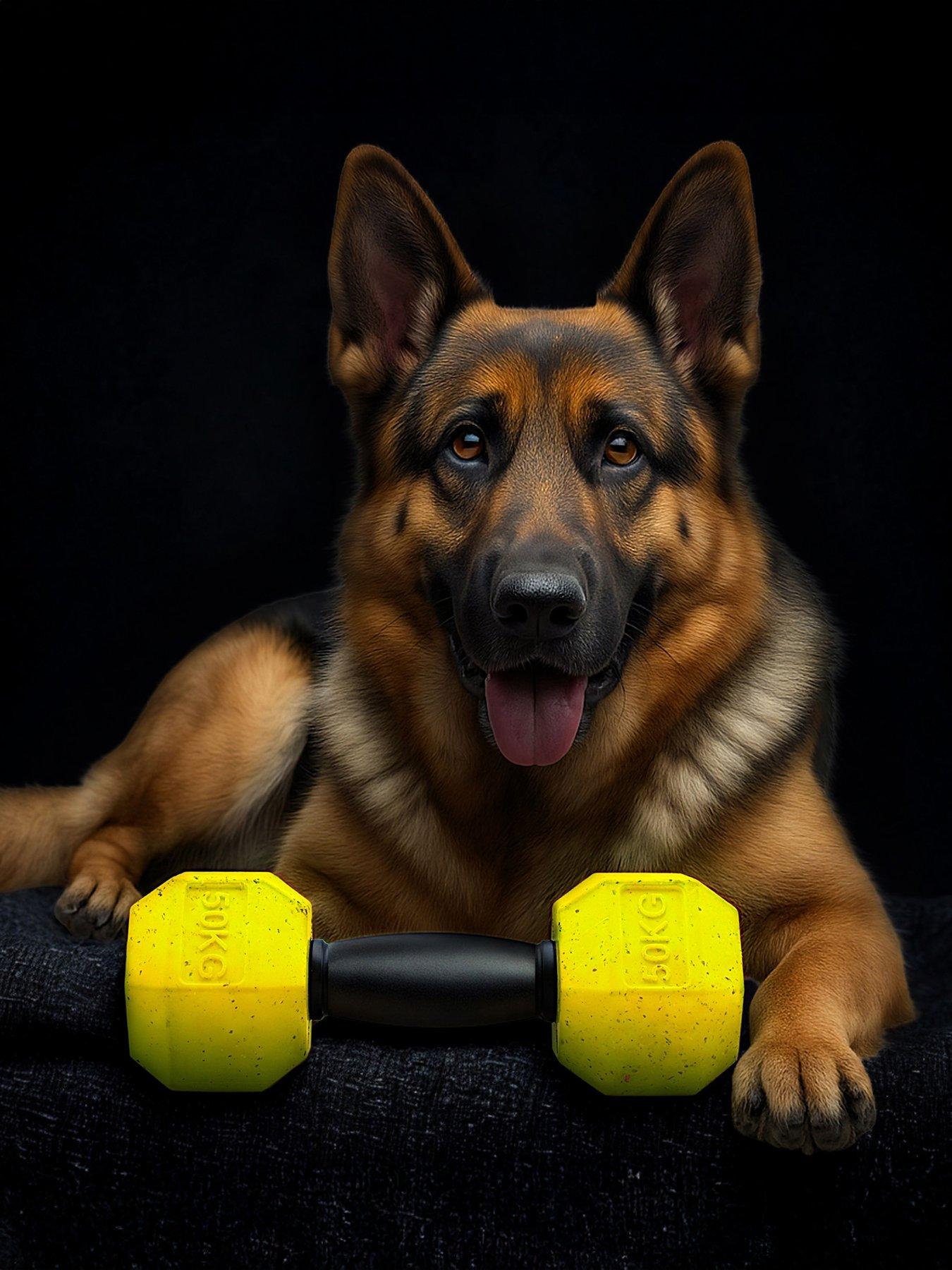 Image 1 of 5 of Nike Max Fusion Max Fusion Dumbbell Dog Toy for Extra Large Dogs