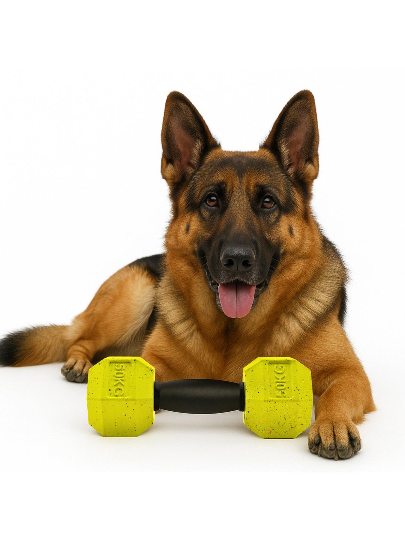 Image 3 of 5 of Nike Max Fusion Max Fusion Dumbbell Dog Toy for Extra Large Dogs