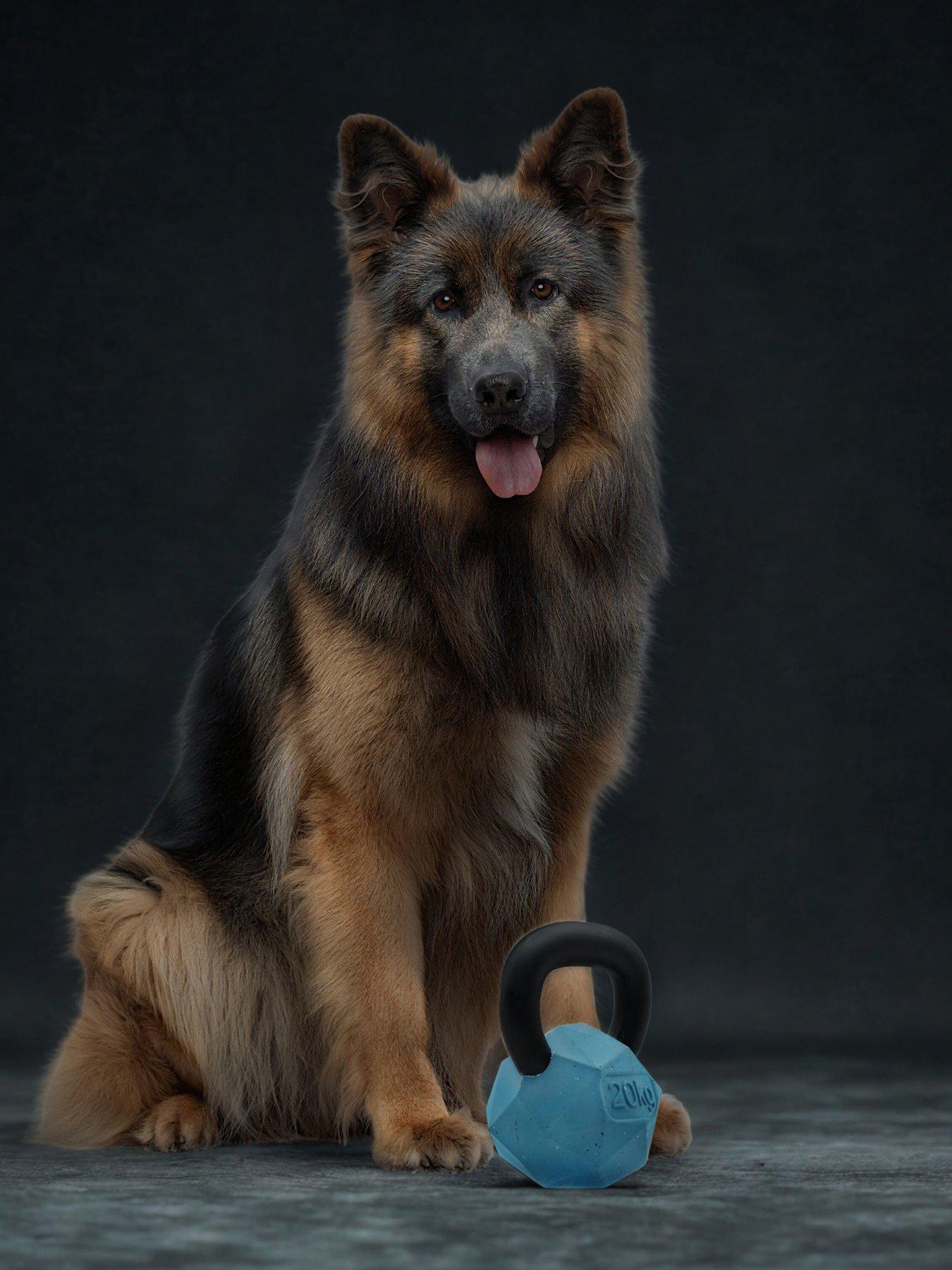 Nike Max Fusion Max Fusion Kettle Bell Dog Toy For Large Dogs
