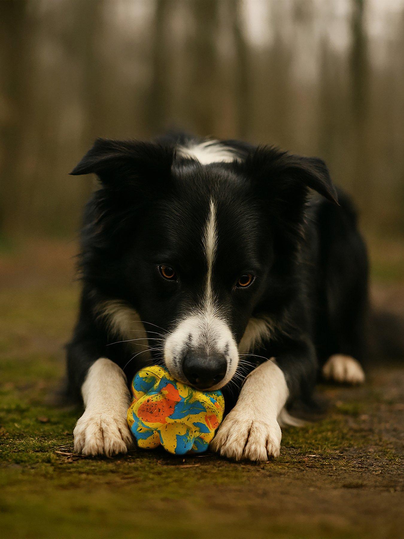 Nike Max Fusion Max Fusion Pop It Dog Toy For Medium Dogs