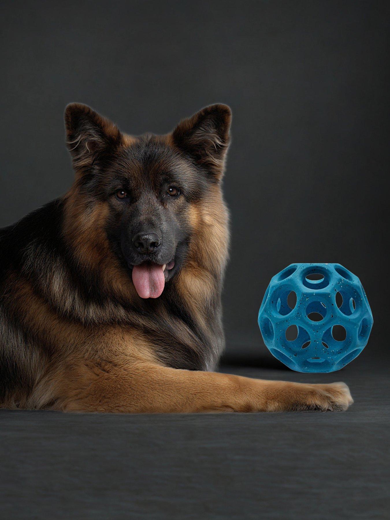 Nike Max Fusion Max Fusion Helix Dog Toy For Large Dogs