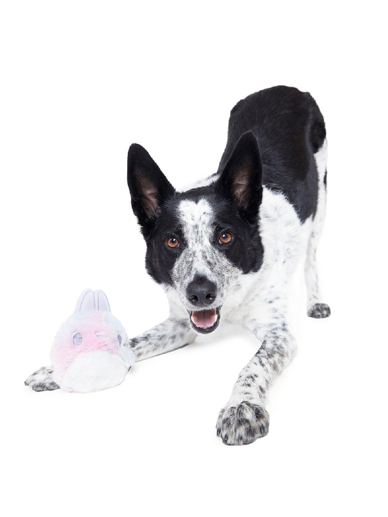 Image 1 of 5 of Bark Hippie Hopper Dog Toy