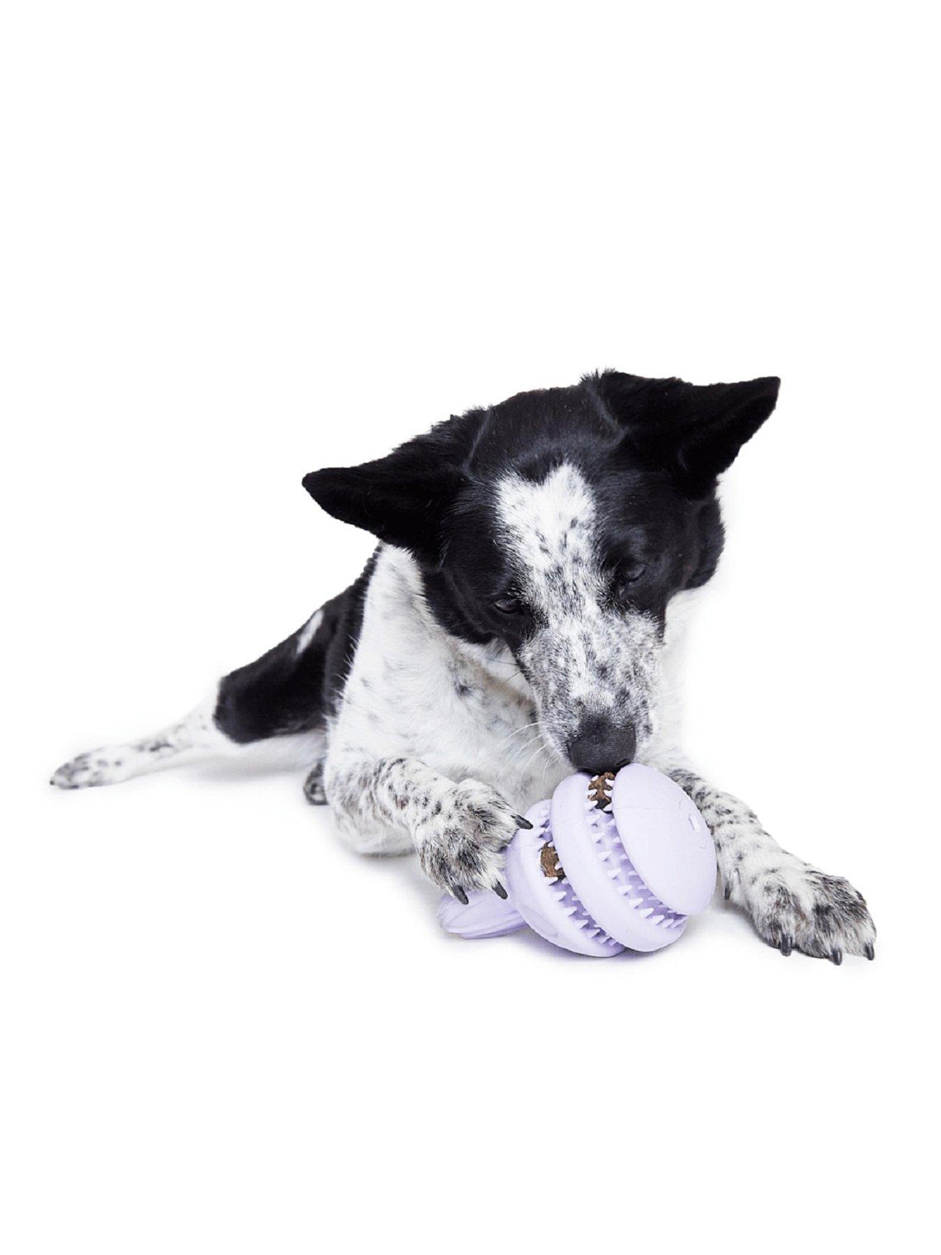 Image 4 of 5 of Bark Hippie Hopper Dog Toy