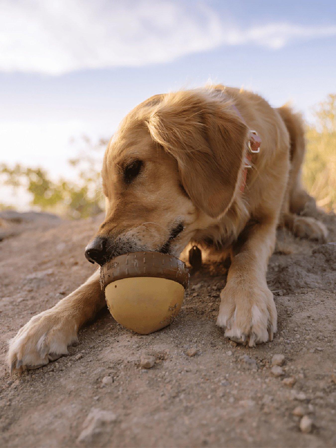 Bark Acornucopia Dog Toy
