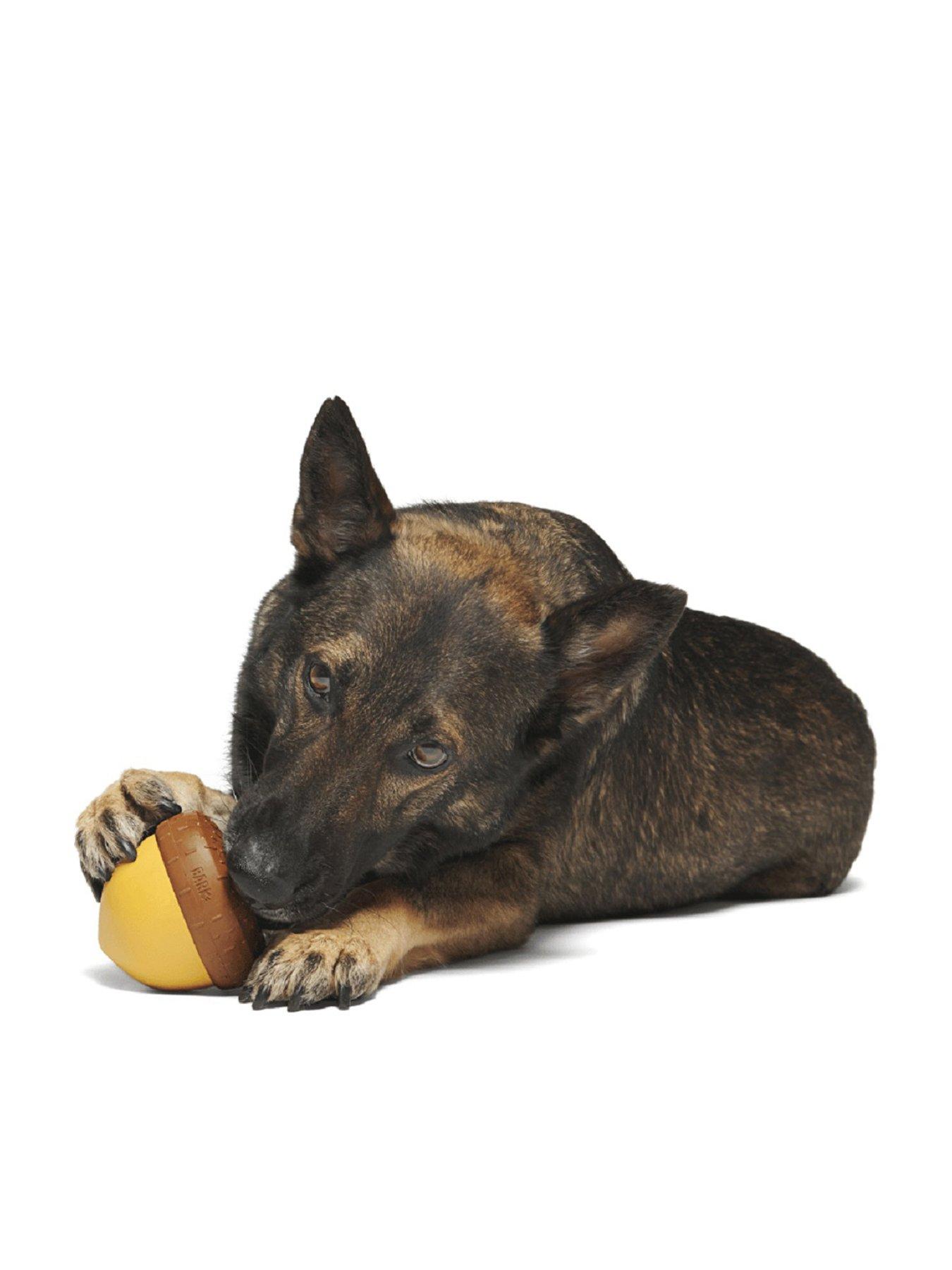 Image 3 of 4 of Bark Acornucopia Dog Toy