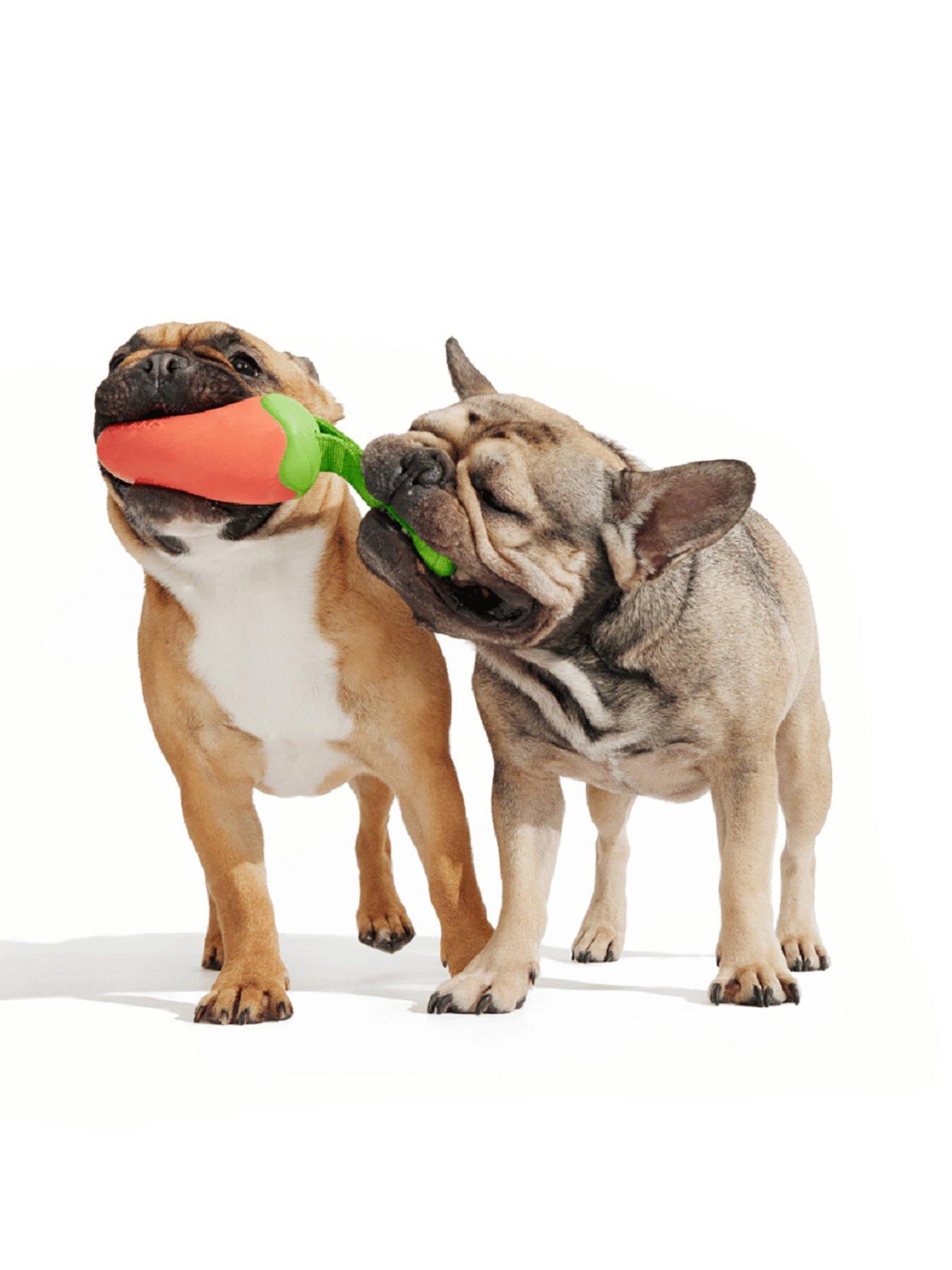 Bark Habanero Pupper Dog Toy