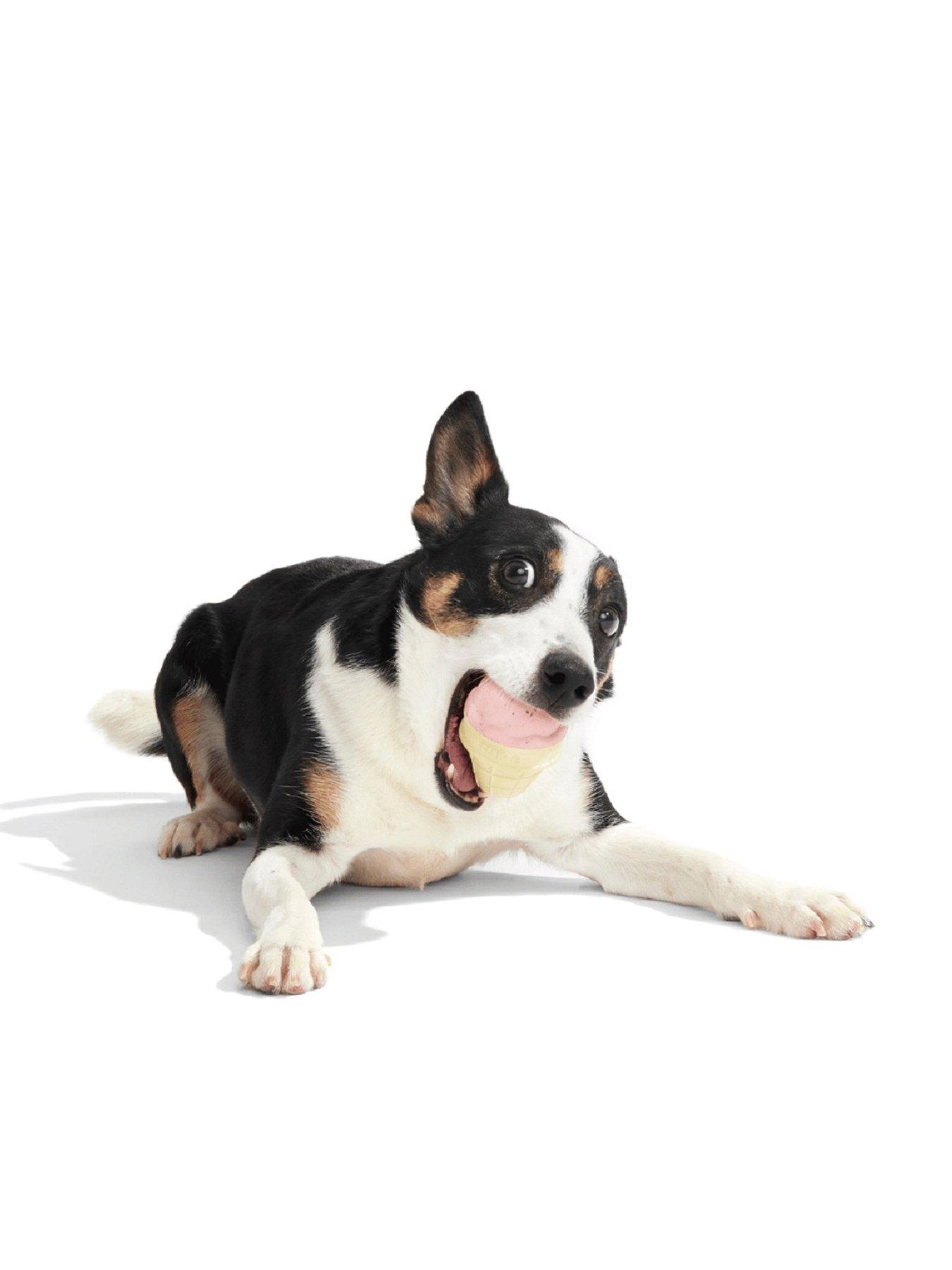 Bark Squeak Cone Dog Toy