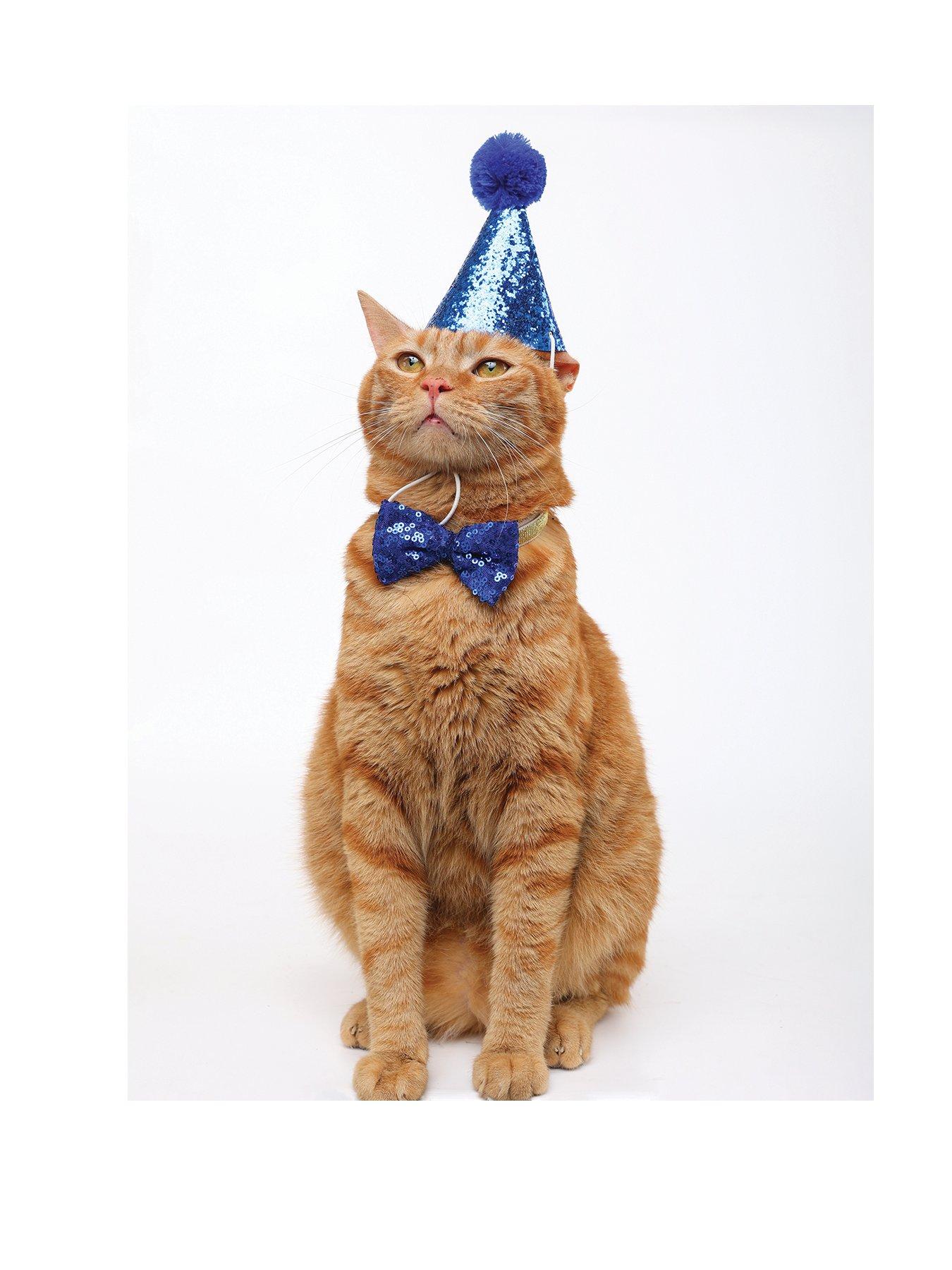 Image 2 of 6 of M-Pets PARTY TIME Cat Gentleman's set