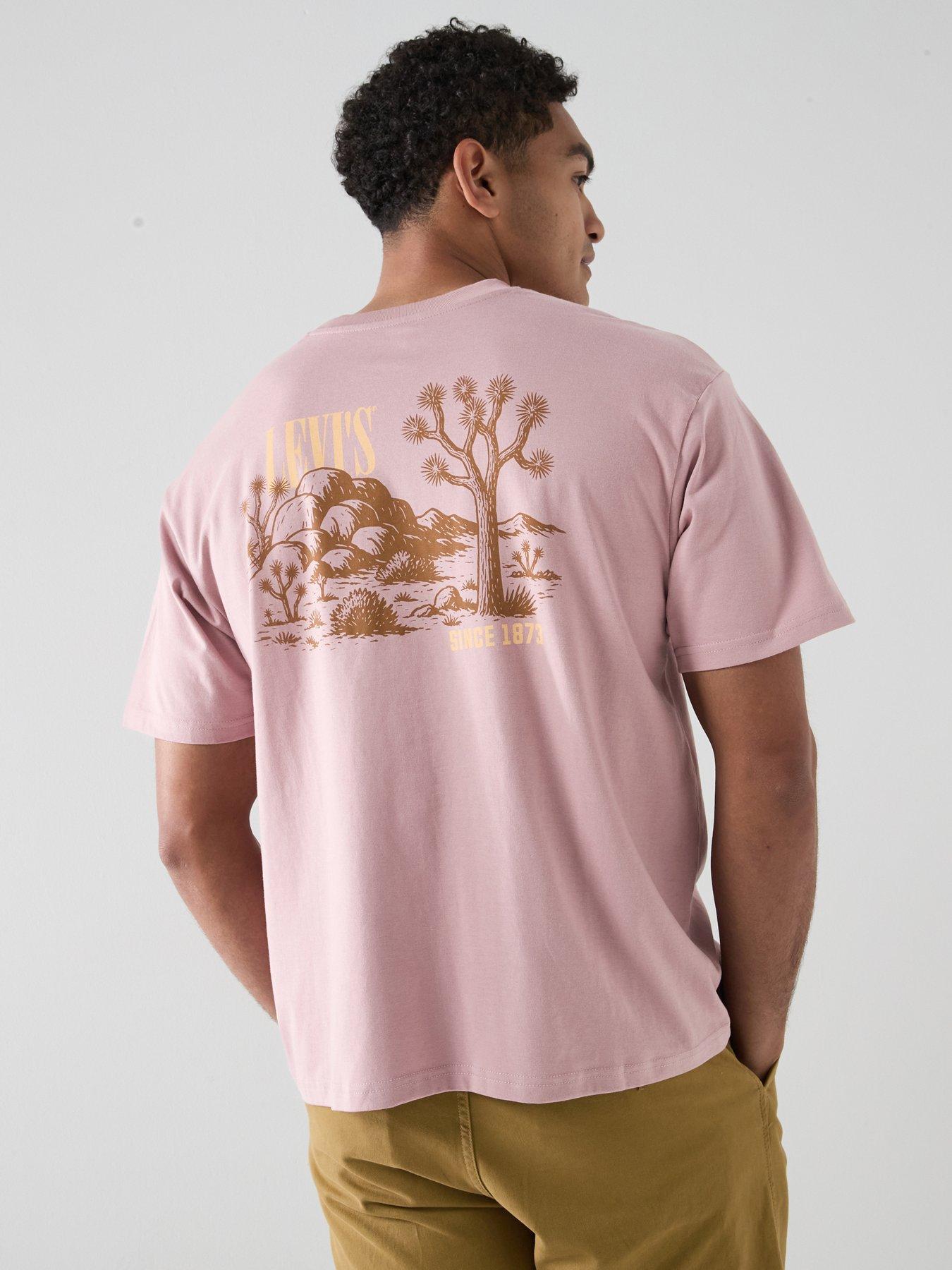 Levi's Western Cactus Back Graphic Boxy Fit T-Shirt - Red