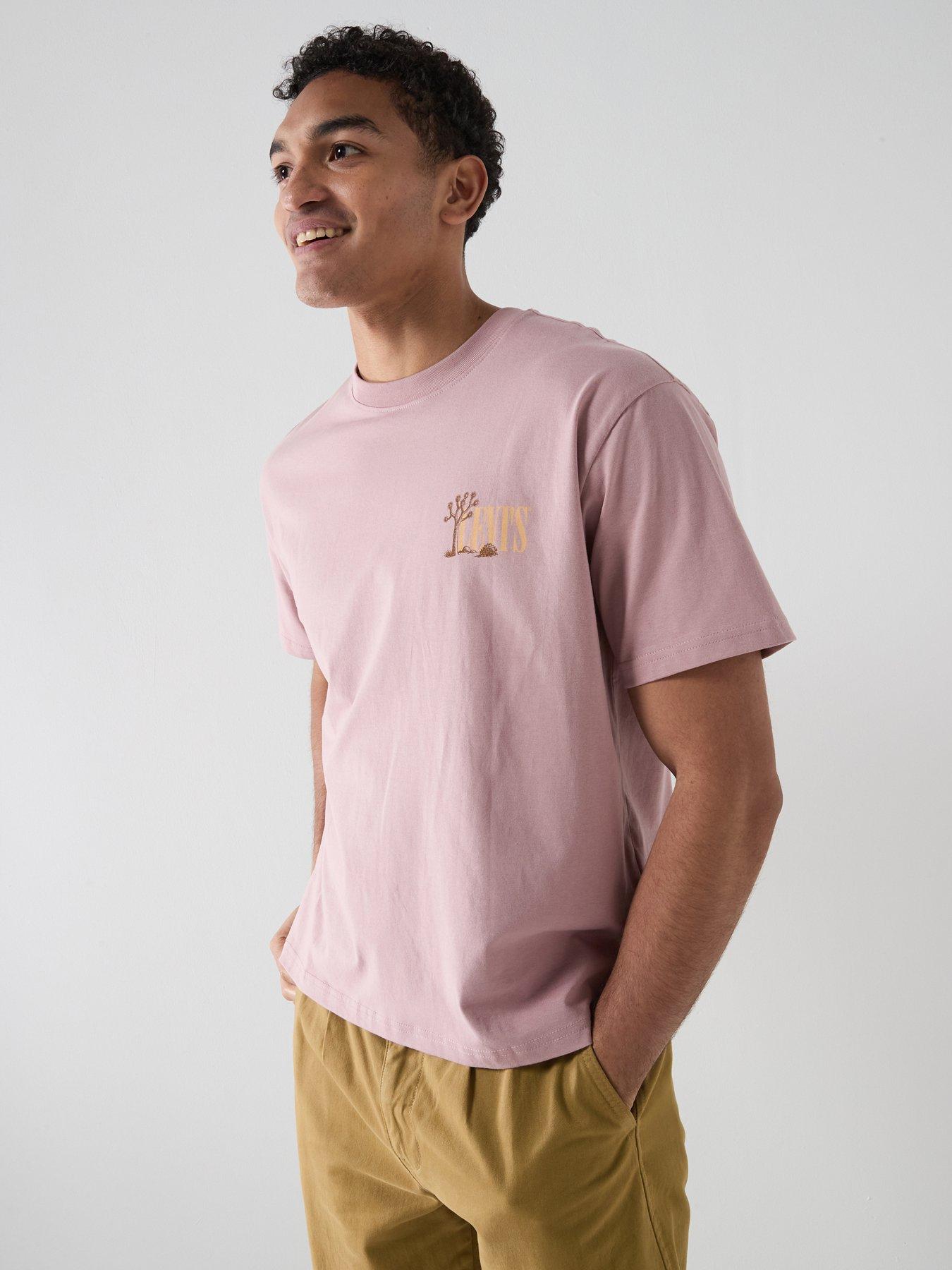 Levi's Western Cactus Back Graphic Boxy Fit T-Shirt - Red