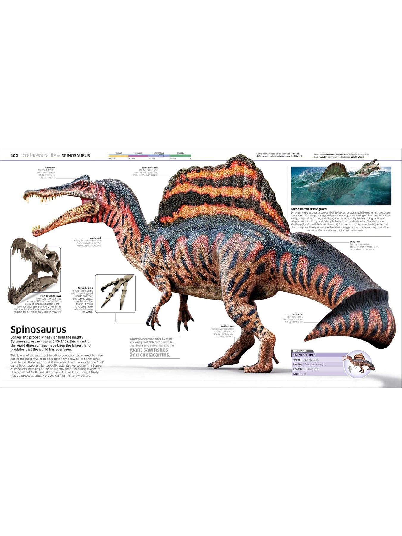 Image 4 of 7 of Knowledge Encyclopedia Dinosaur Book