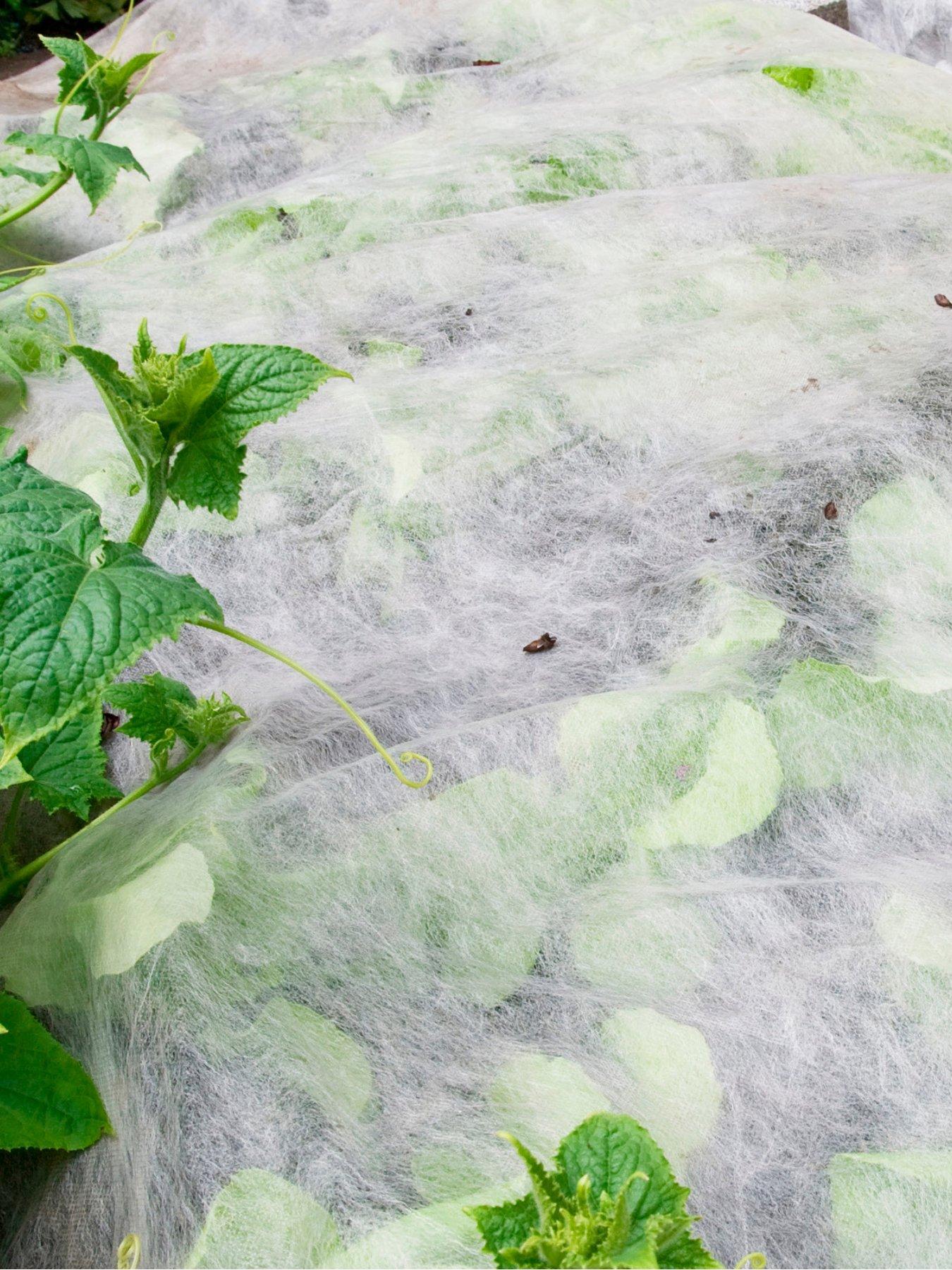 Image 2 of 5 of You Garden Frost Protection Fleece - 1 Roll (15m x 1m)