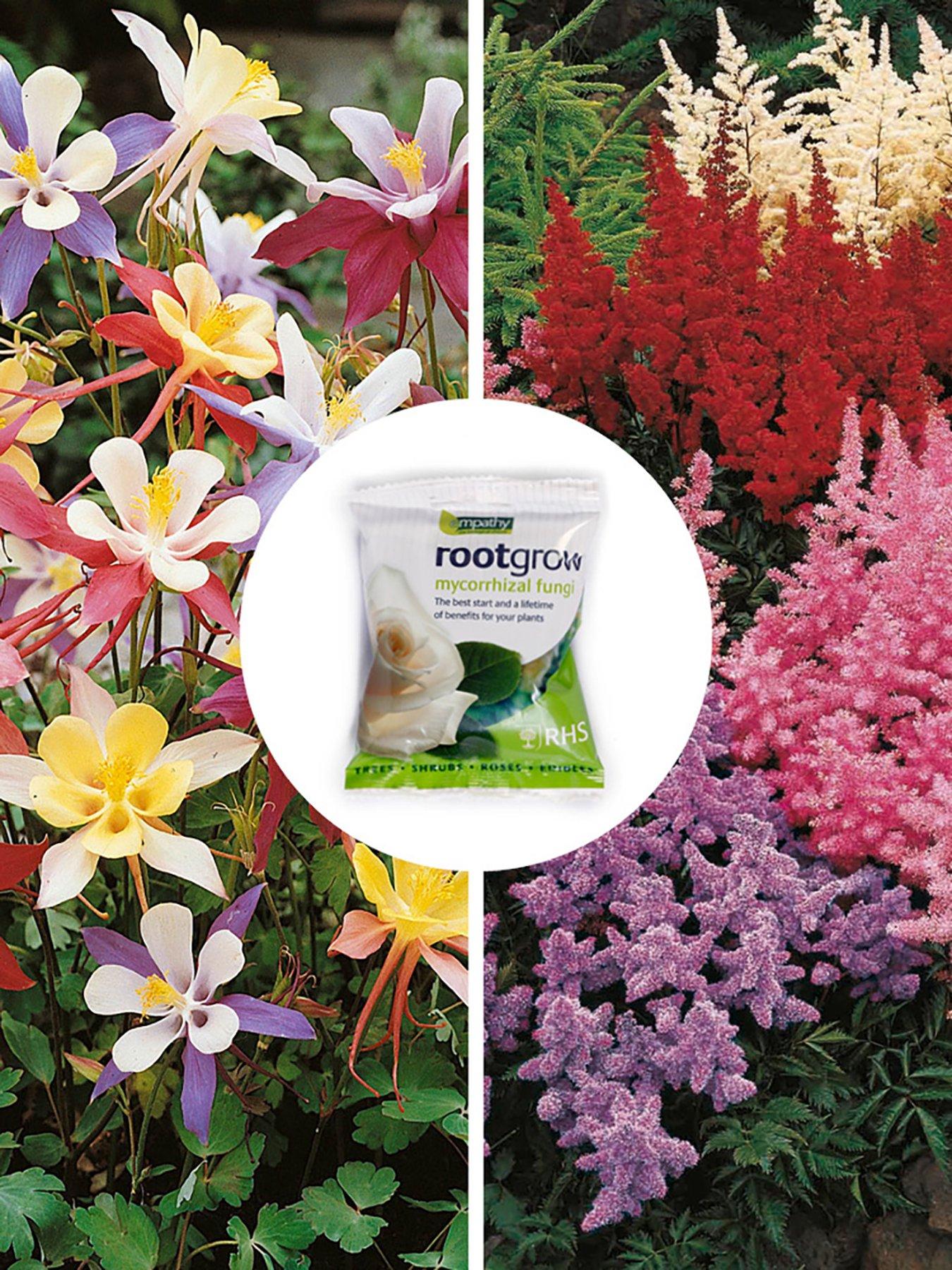 You Garden Perfect for Shade' Bare Root Collection