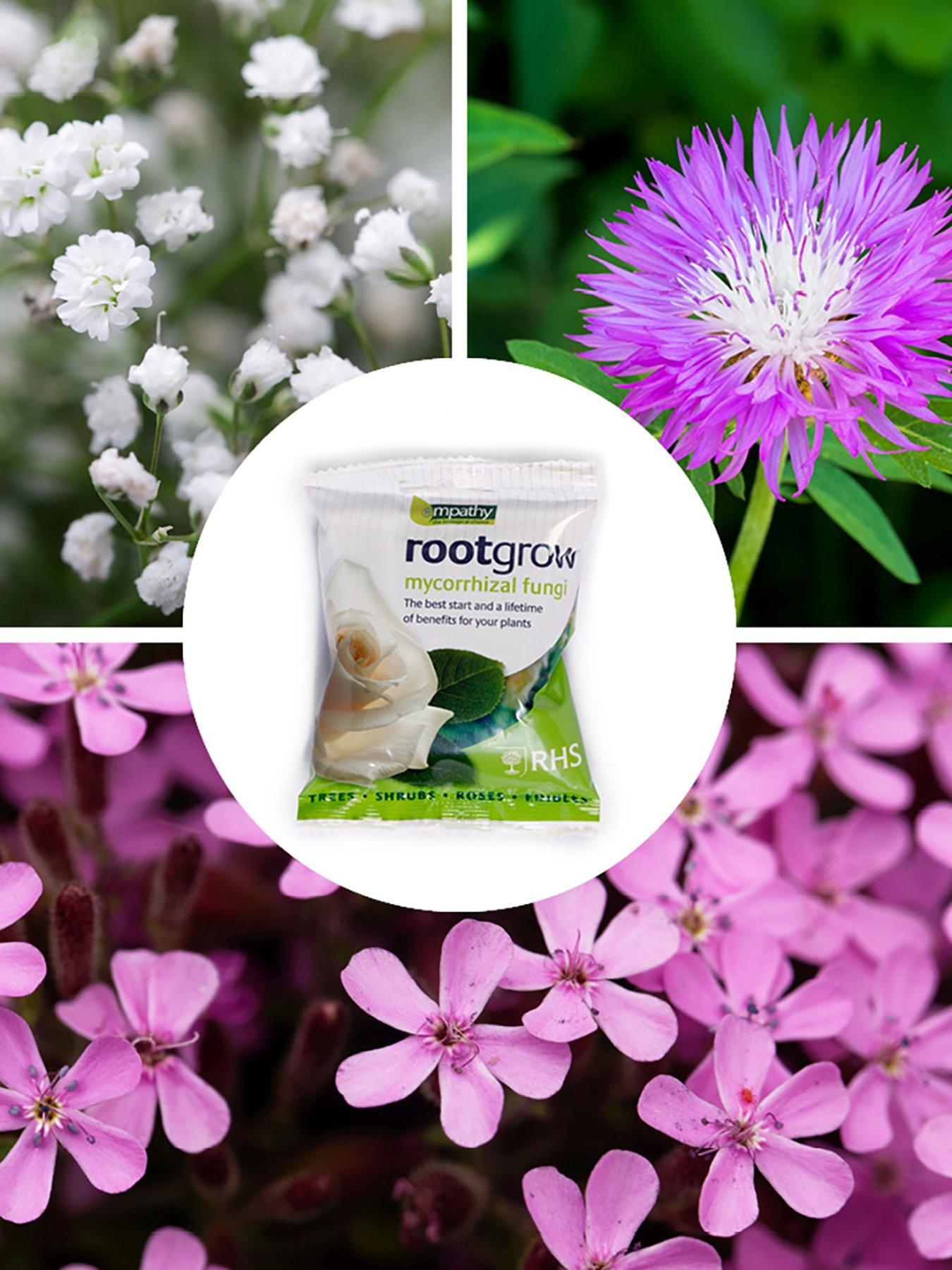 You Garden Border Filler Bare Root  Collection
