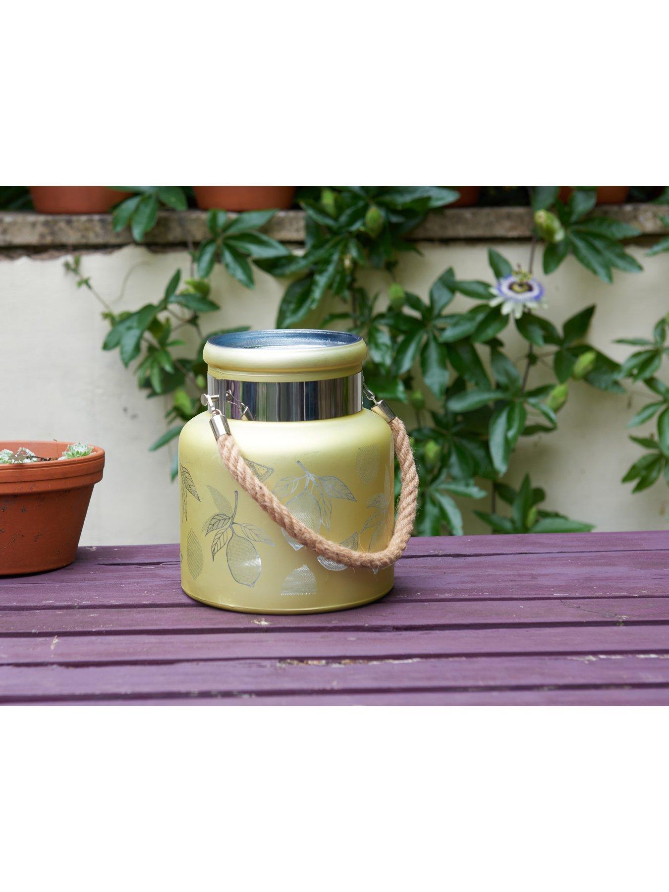 Image 7 of 7 of Smart Garden Lemon Lantern