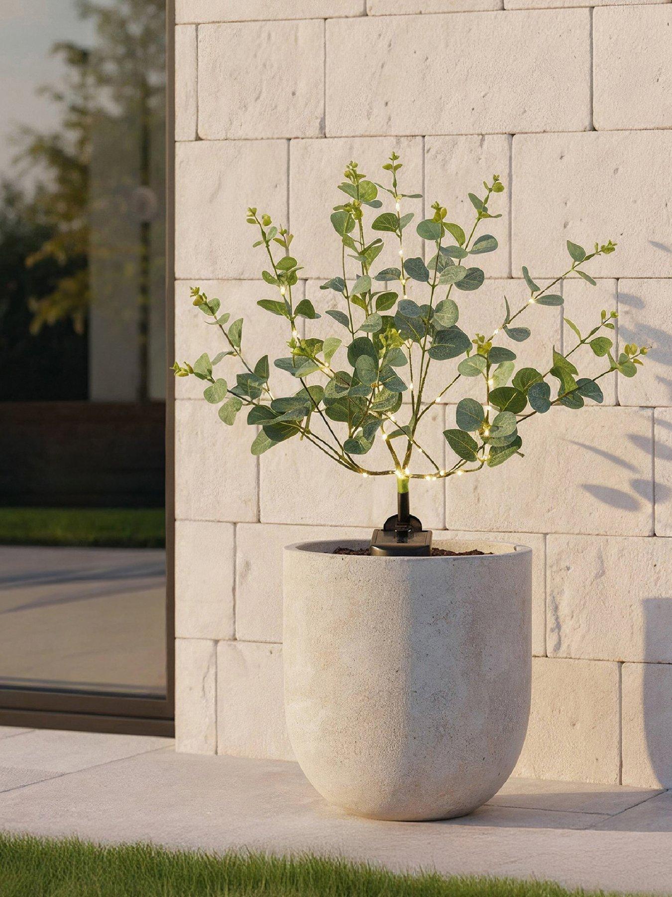 Streetwize Solar Eucalyptus Tree Lights