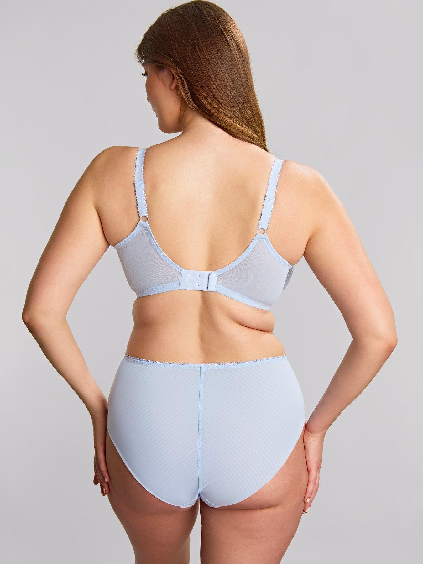 Image 3 of 4 of Panache Panache Meadow Dusky Blue Plunge Bra - Dusky Blue