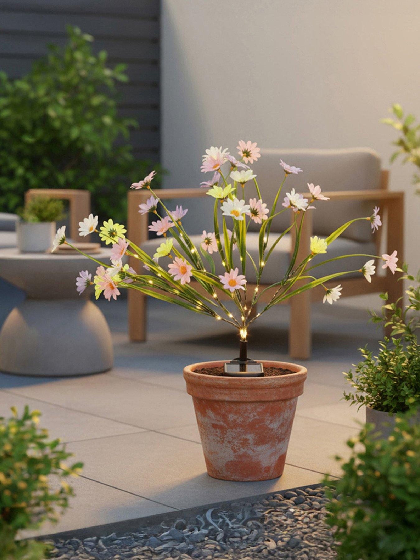 Streetwize Solar  Wild Chrysanthemum Flowers Lights