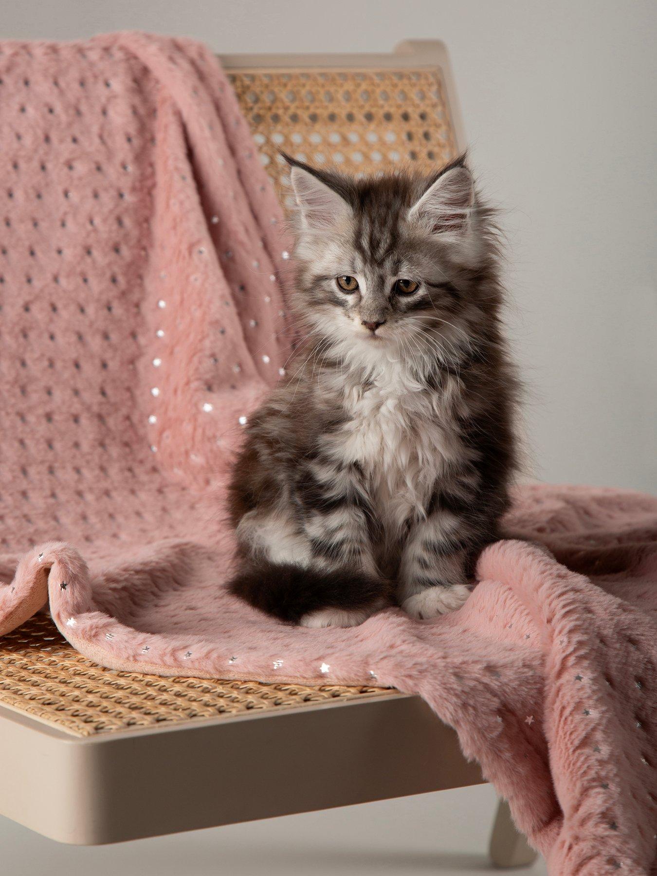 Scruffs My First Bed - Starlight Puppy & Kitten Calming Blanket