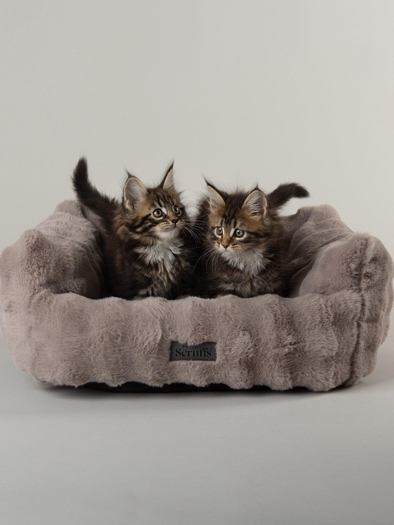 Image 1 of 7 of Scruffs My First Bed - Cloud Puppy &amp; Kitten Calming Box Bed