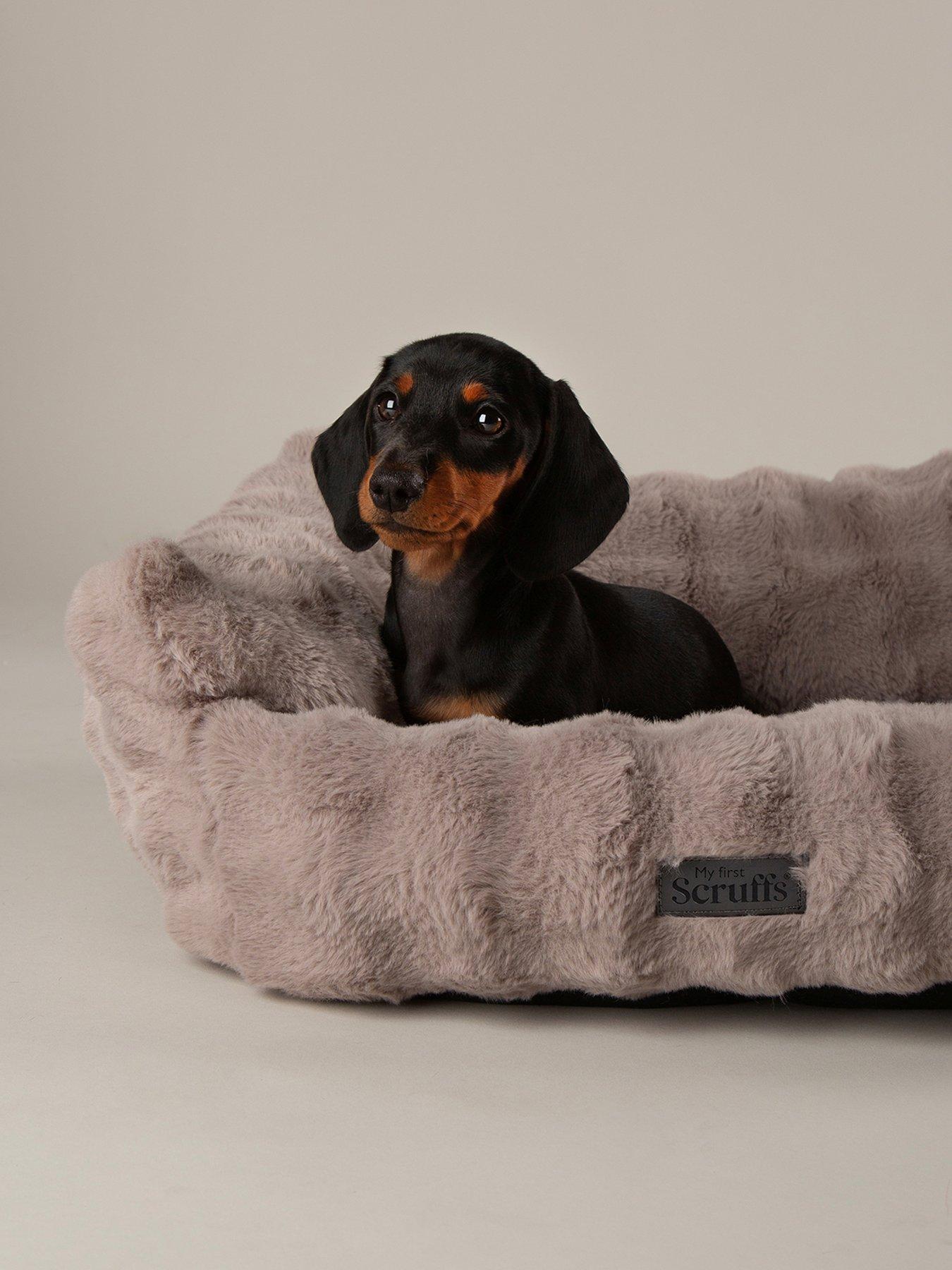 Image 3 of 7 of Scruffs My First Bed - Cloud Puppy &amp; Kitten Calming Box Bed