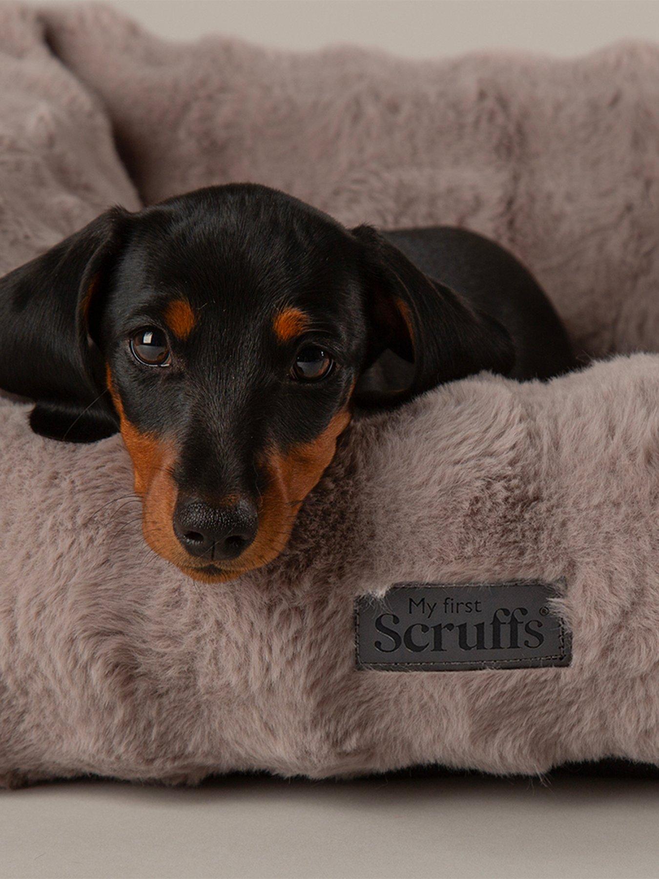 Image 4 of 7 of Scruffs My First Bed - Cloud Puppy &amp; Kitten Calming Box Bed