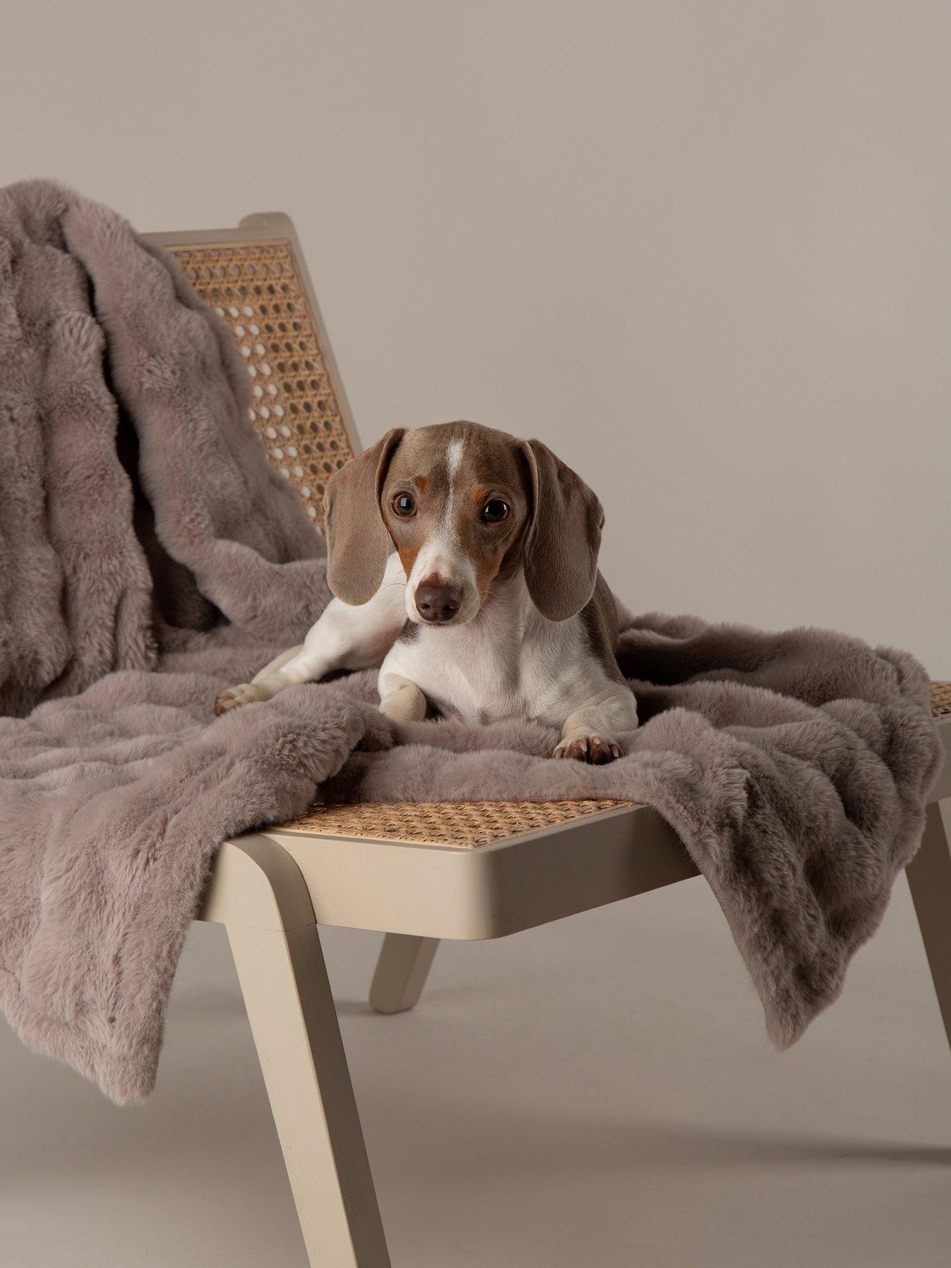 Image 1 of 7 of Scruffs My First Bed - Cloud Puppy & Kitten Calming Blanket