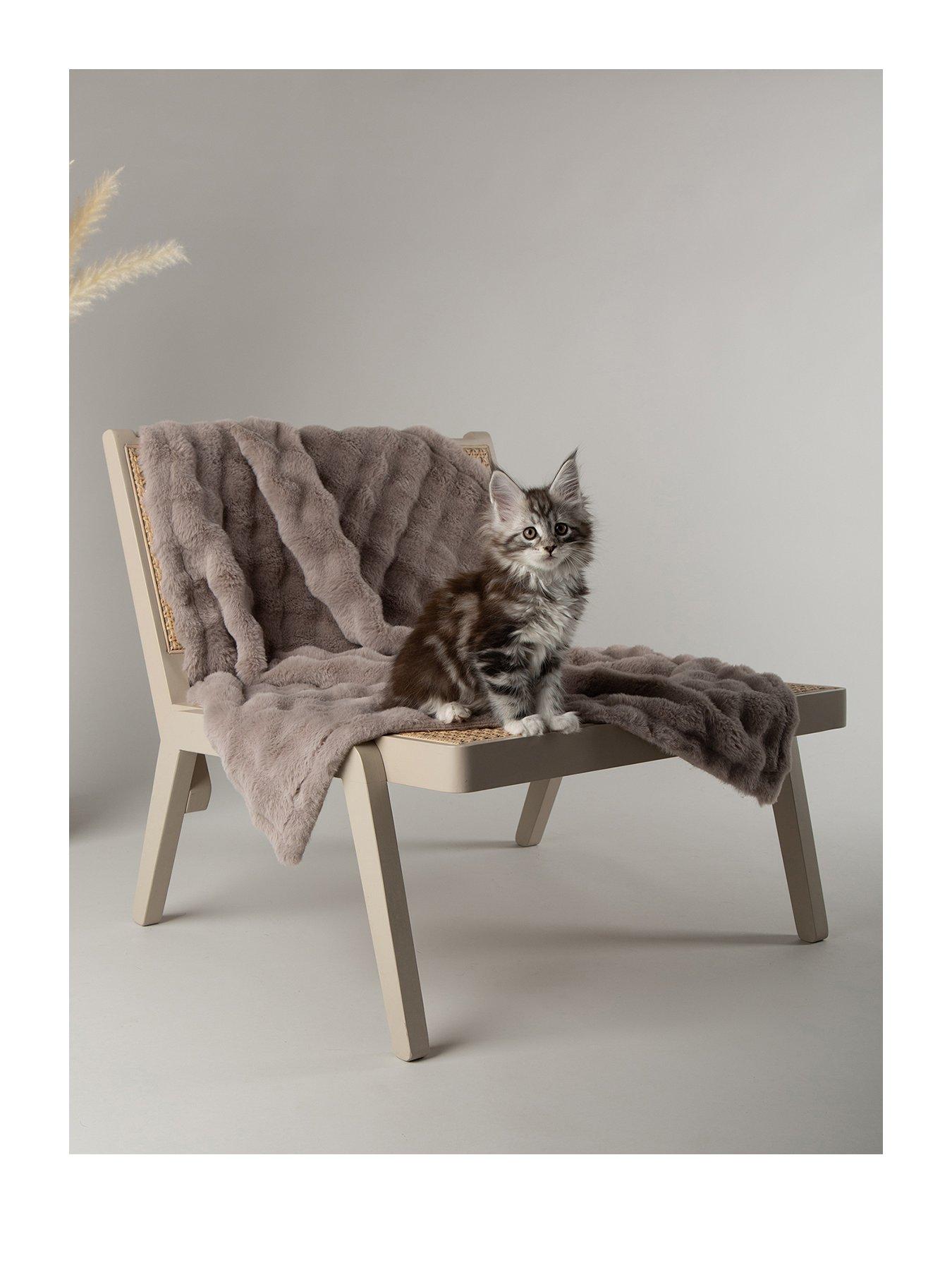 Image 2 of 7 of Scruffs My First Bed - Cloud Puppy & Kitten Calming Blanket