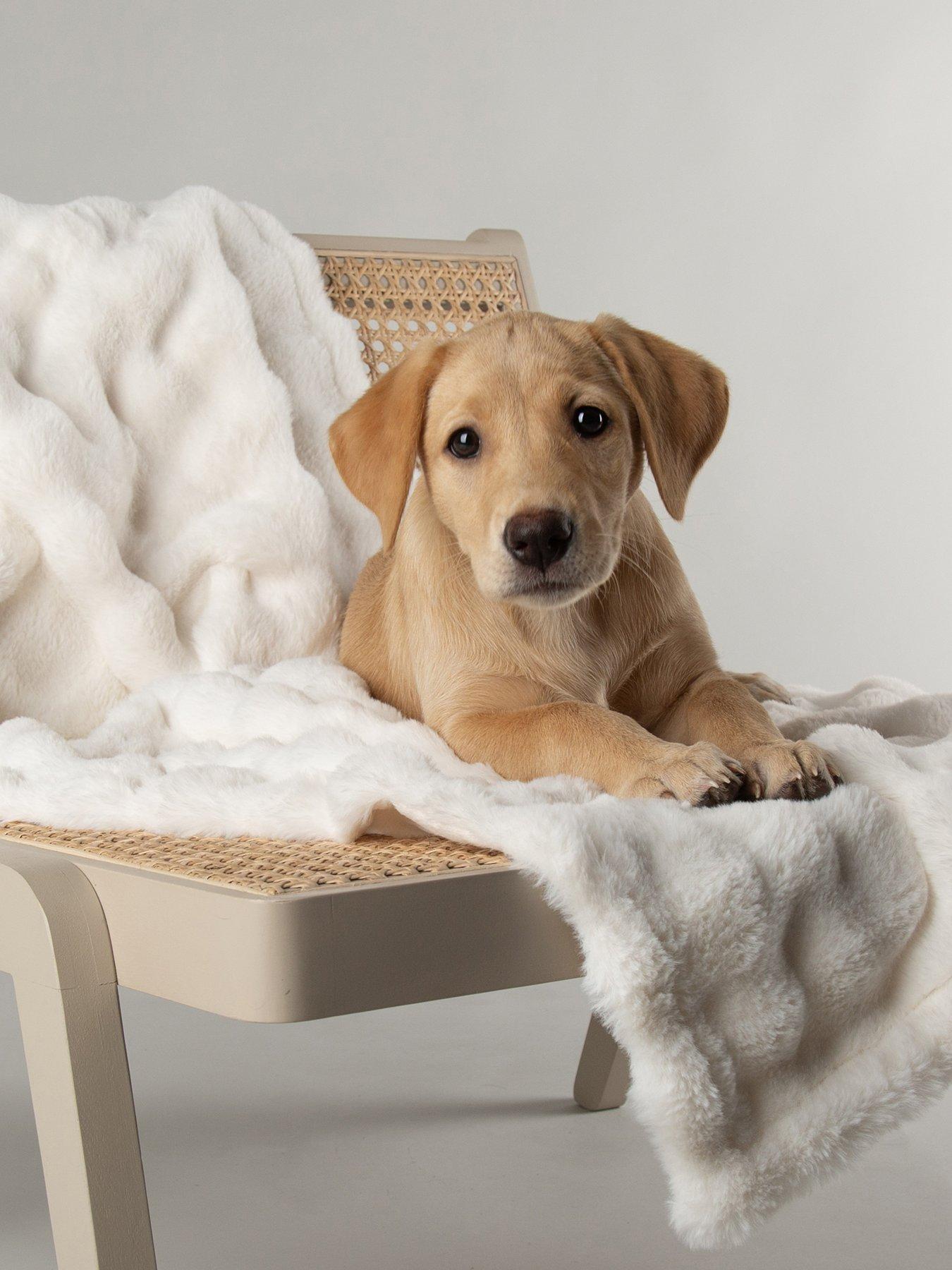 Scruffs My First Bed - Cloud Puppy & Kitten Calming Blanket