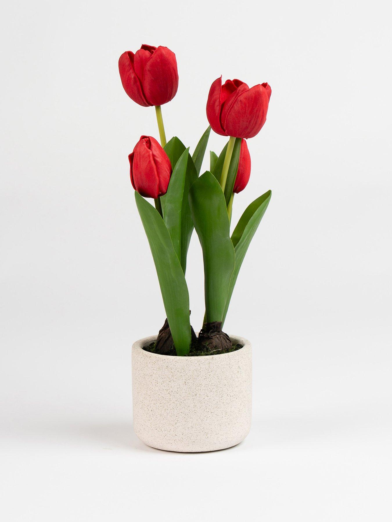 Scottish Everlastings 36cm Red Tulips in Cement Pot