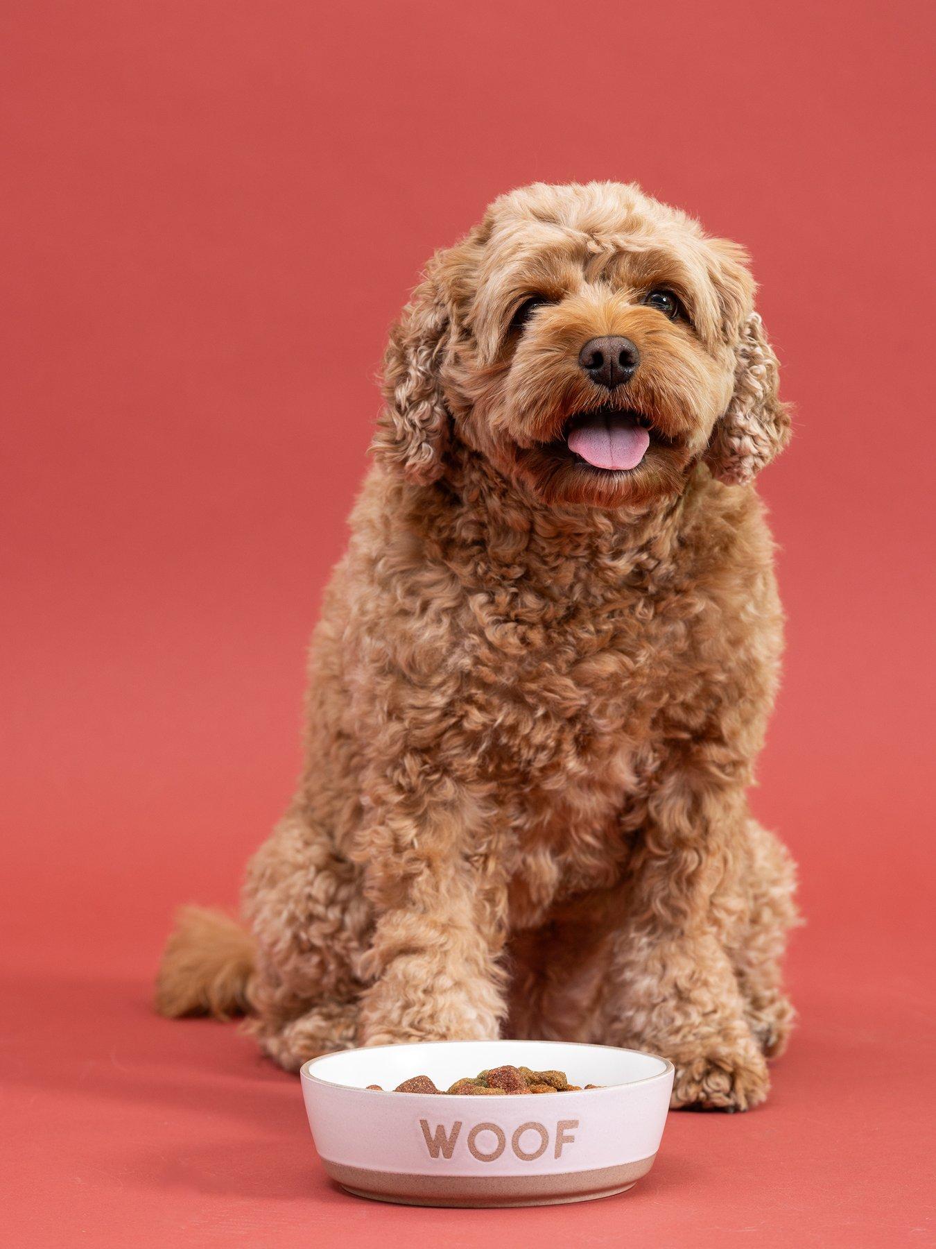 Mason Cash Set Of 2 Woof 16Cm Bowls