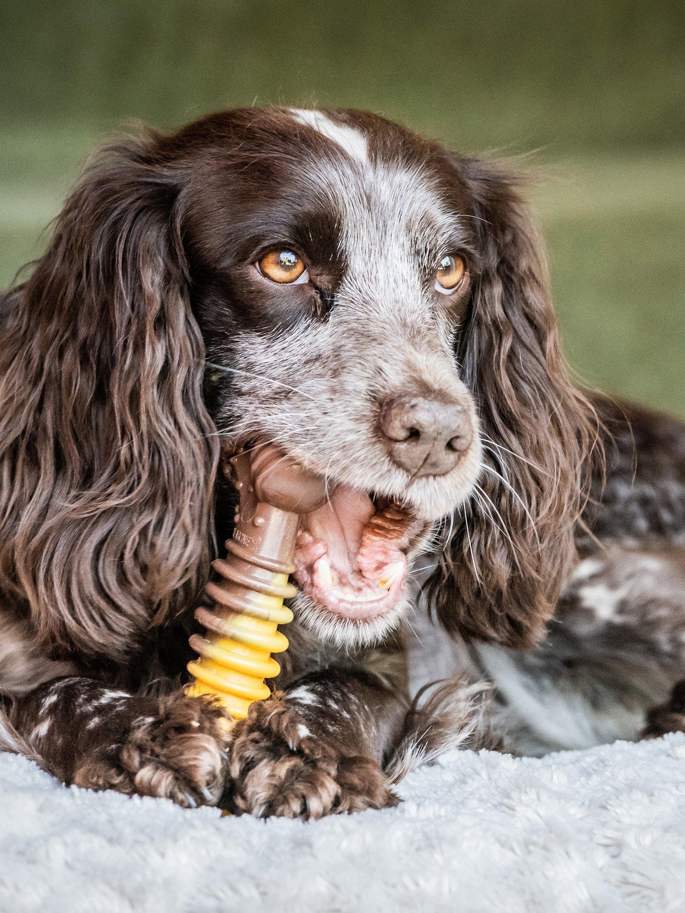 Image 2 of 7 of Nylabone Dog Extream Chew Texture Bone Toy Beef&Cheese Flavout Medium