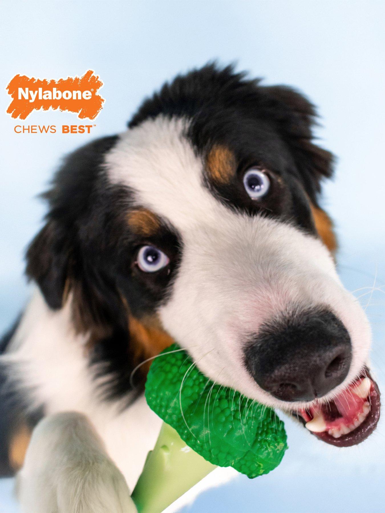 Image 2 of 7 of Nylabone Dog Extreme chew Brocolli Toy Bacon&amp; Cheese Flavour- Large