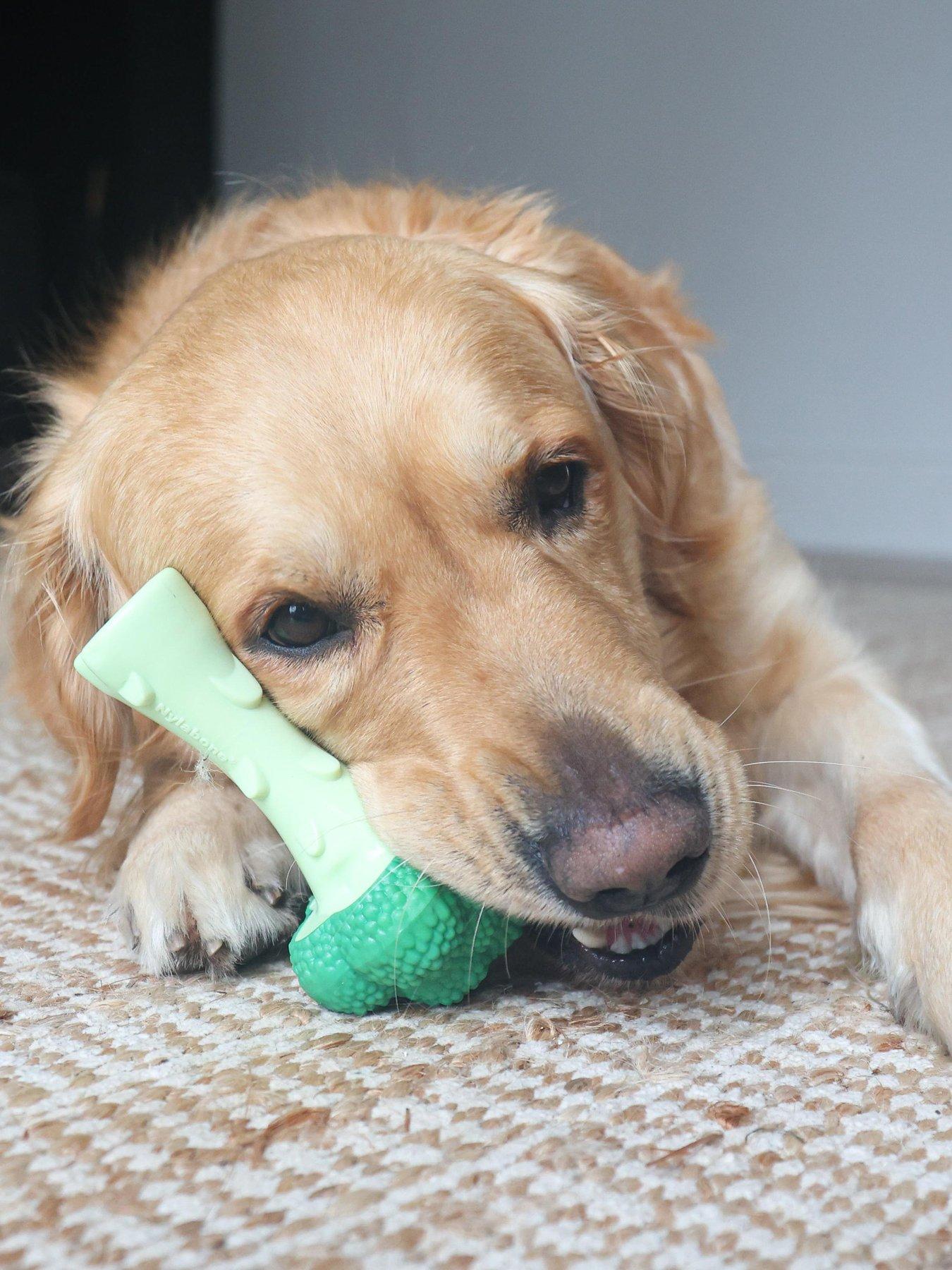 Image 4 of 7 of Nylabone Dog Extreme chew Brocolli Toy Bacon&amp; Cheese Flavour- Large